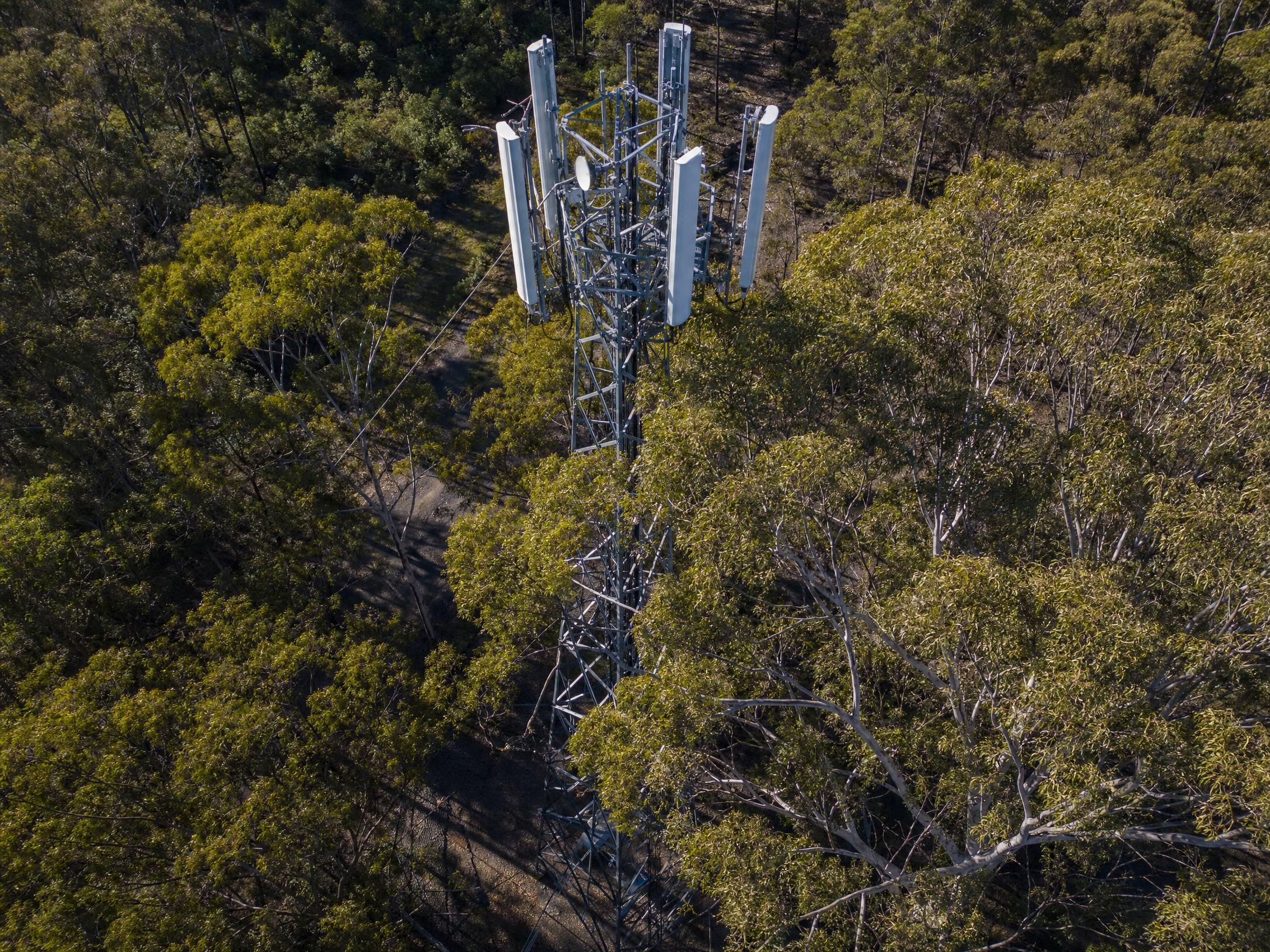 A drone aerial view of a tall metal telecommunications tower, surrounded by vegetation encroachment, captured by DeepSky IQ.