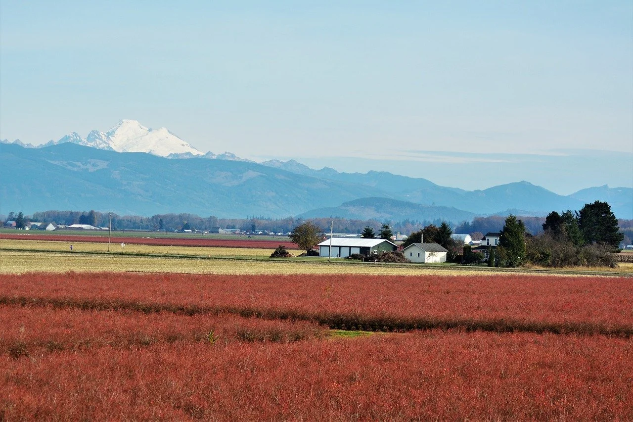 45-minute Career Consultation (in-person)