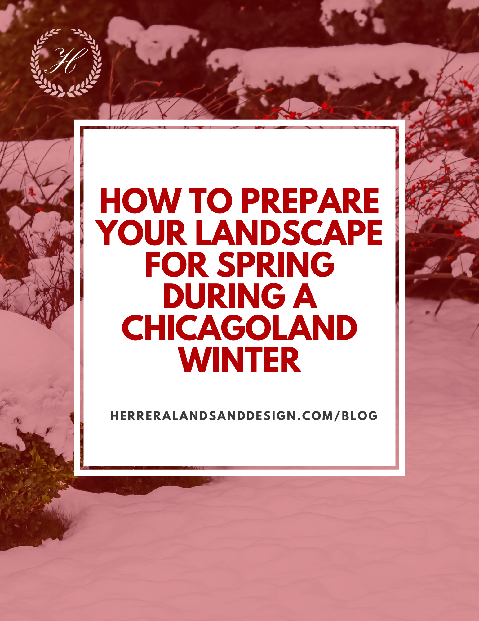 How to Prepare Your Landscape for Spring During a Chicagoland Winter 