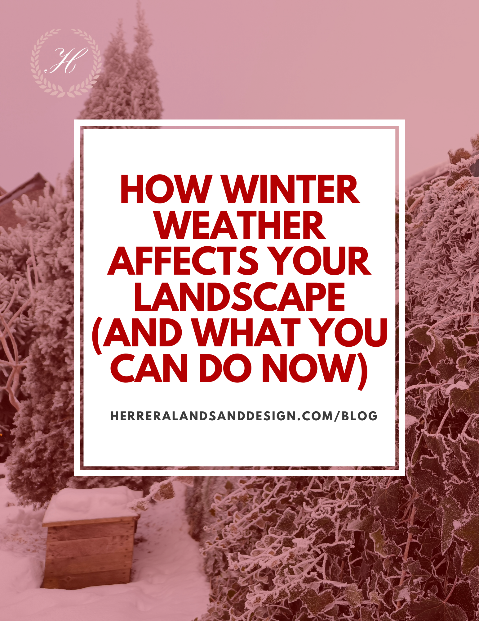 How Winter Weather Affects Your Landscape (And What You Can Do Now)