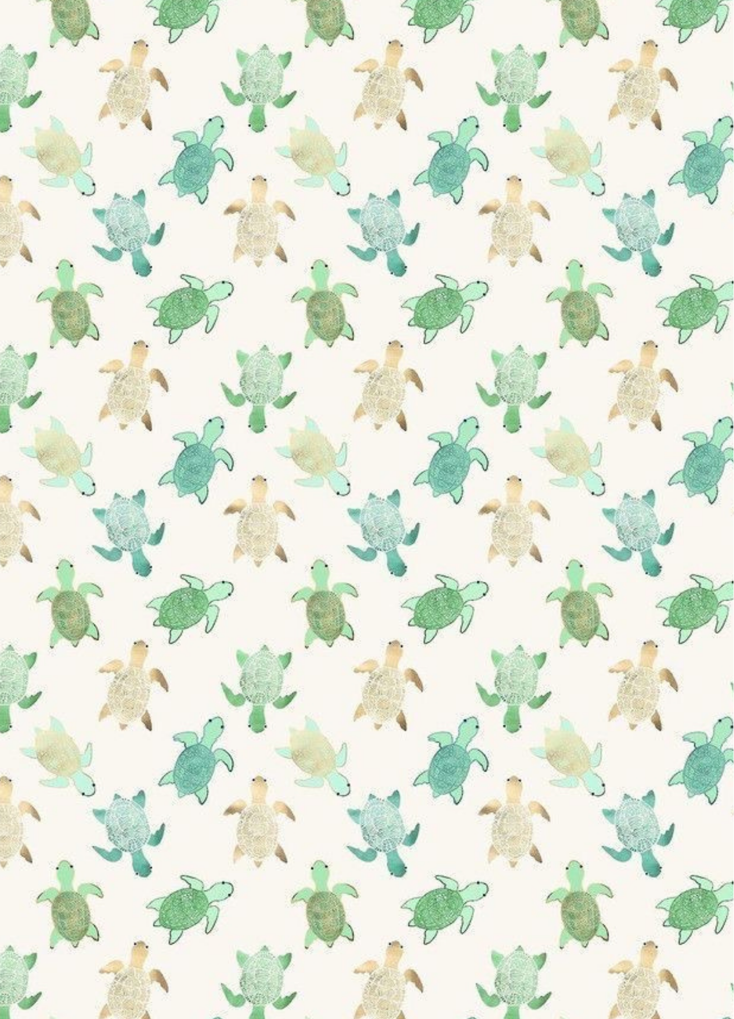New_ Sea Turtles.png