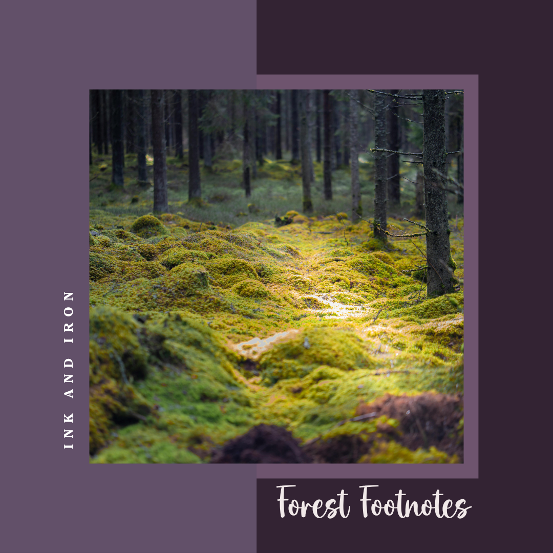 Forest Footnotes Car Diffuser (Oakmoss and Amber)