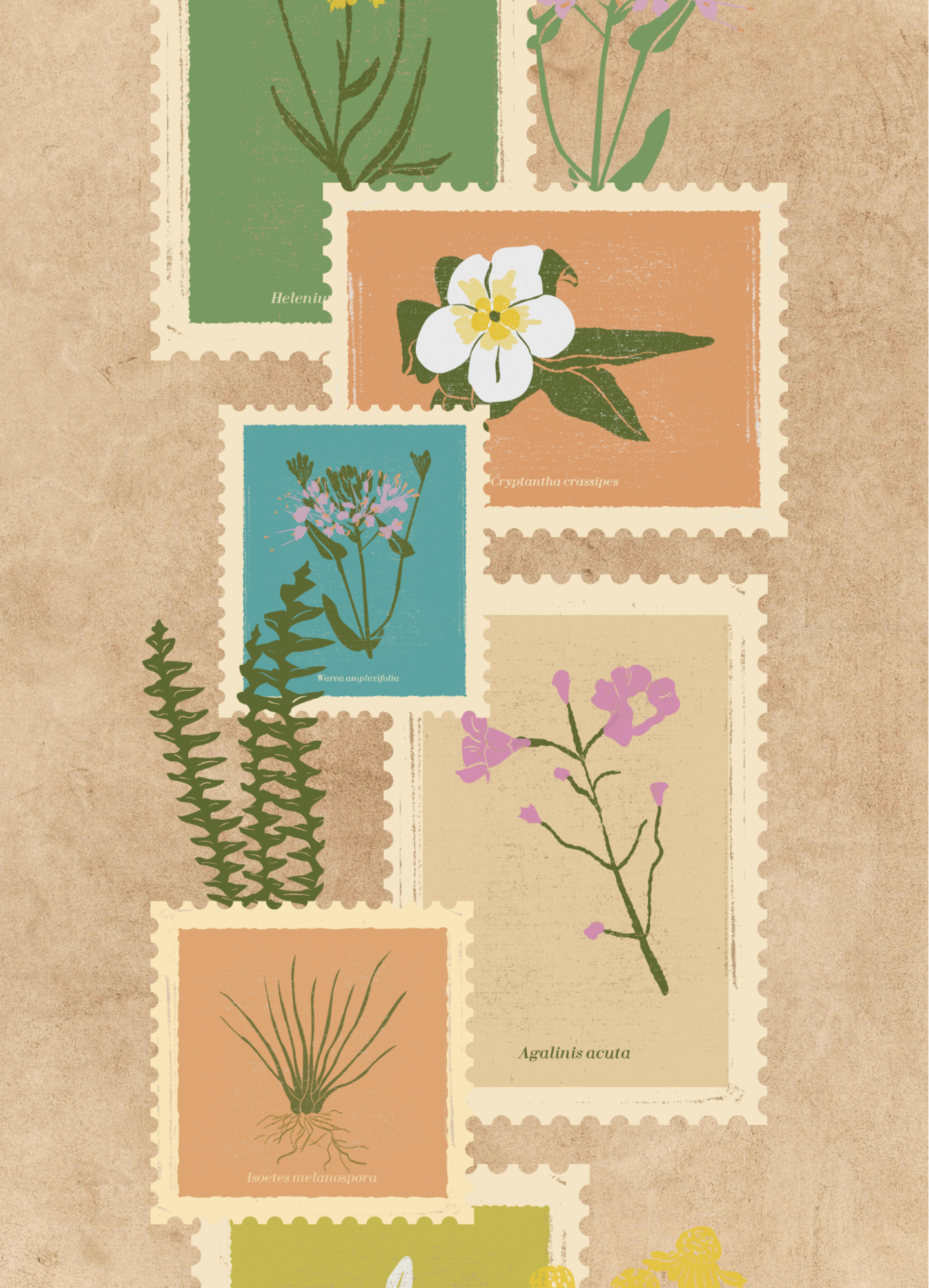 Neutral Stamps.png