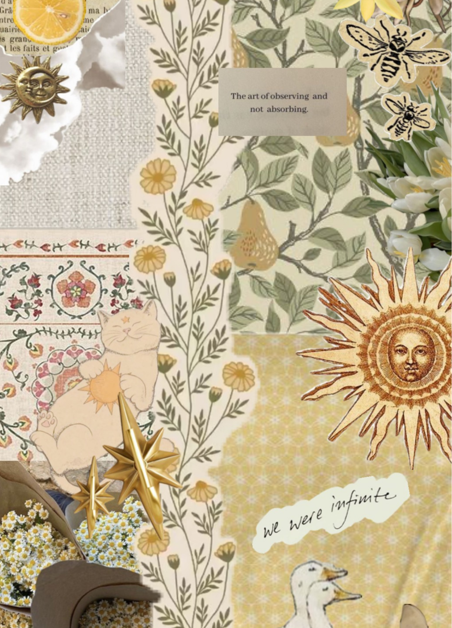 New_ Floral Sun Collage.png