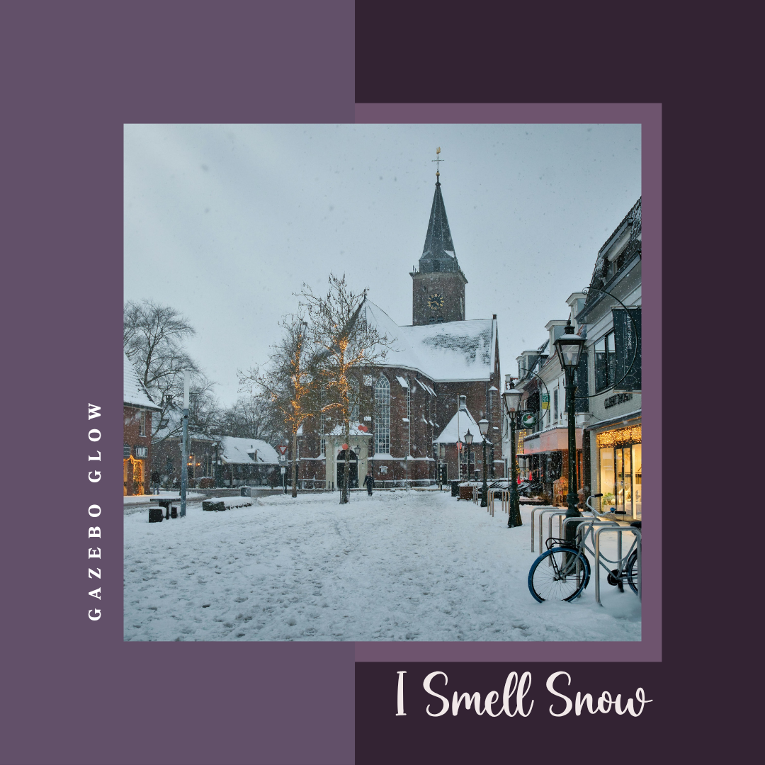 I Smell Snow 6oz Candle (Winter Air and Oakmoss)