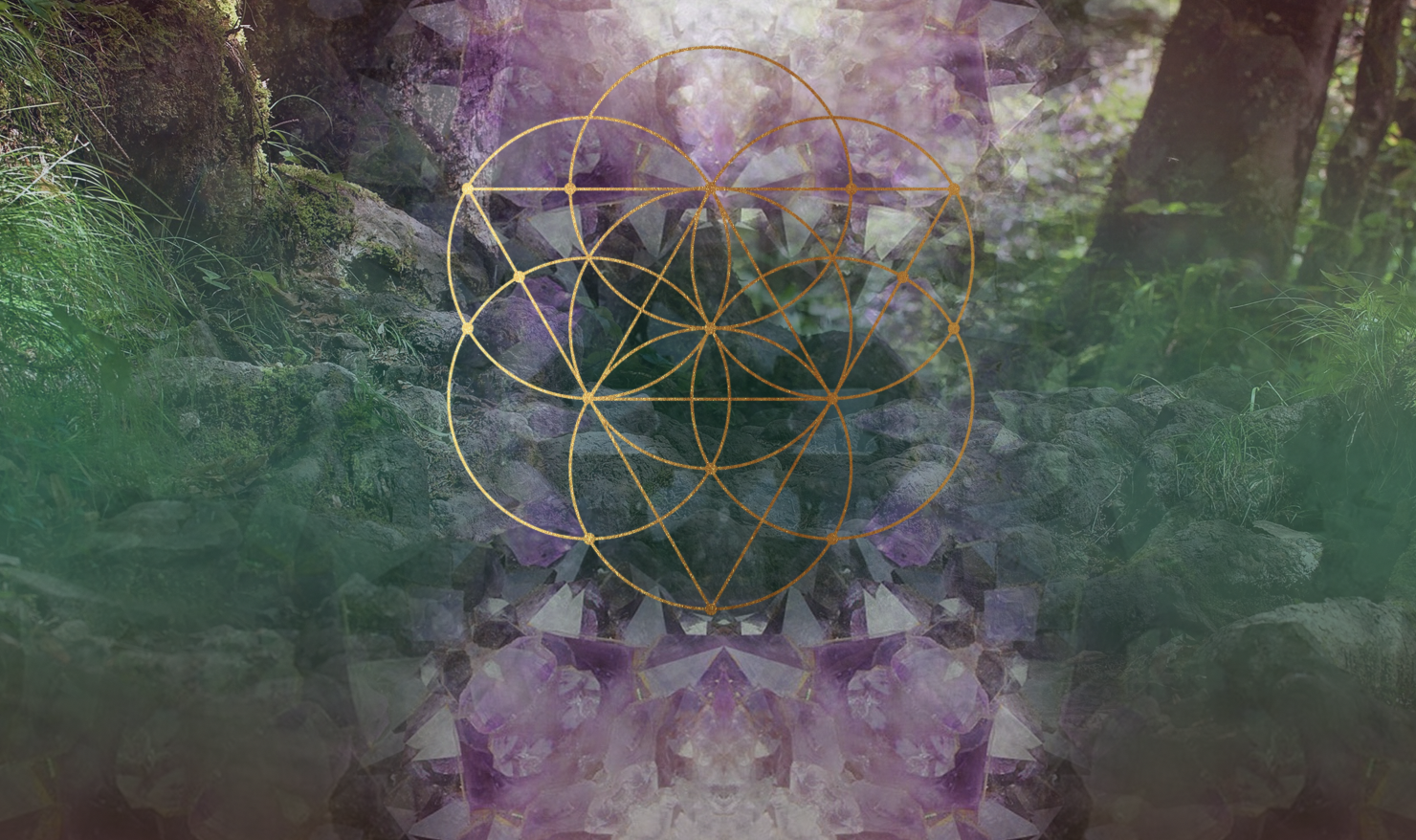 Screen Shot 2017-02-24 at 8.53.02 AM.png