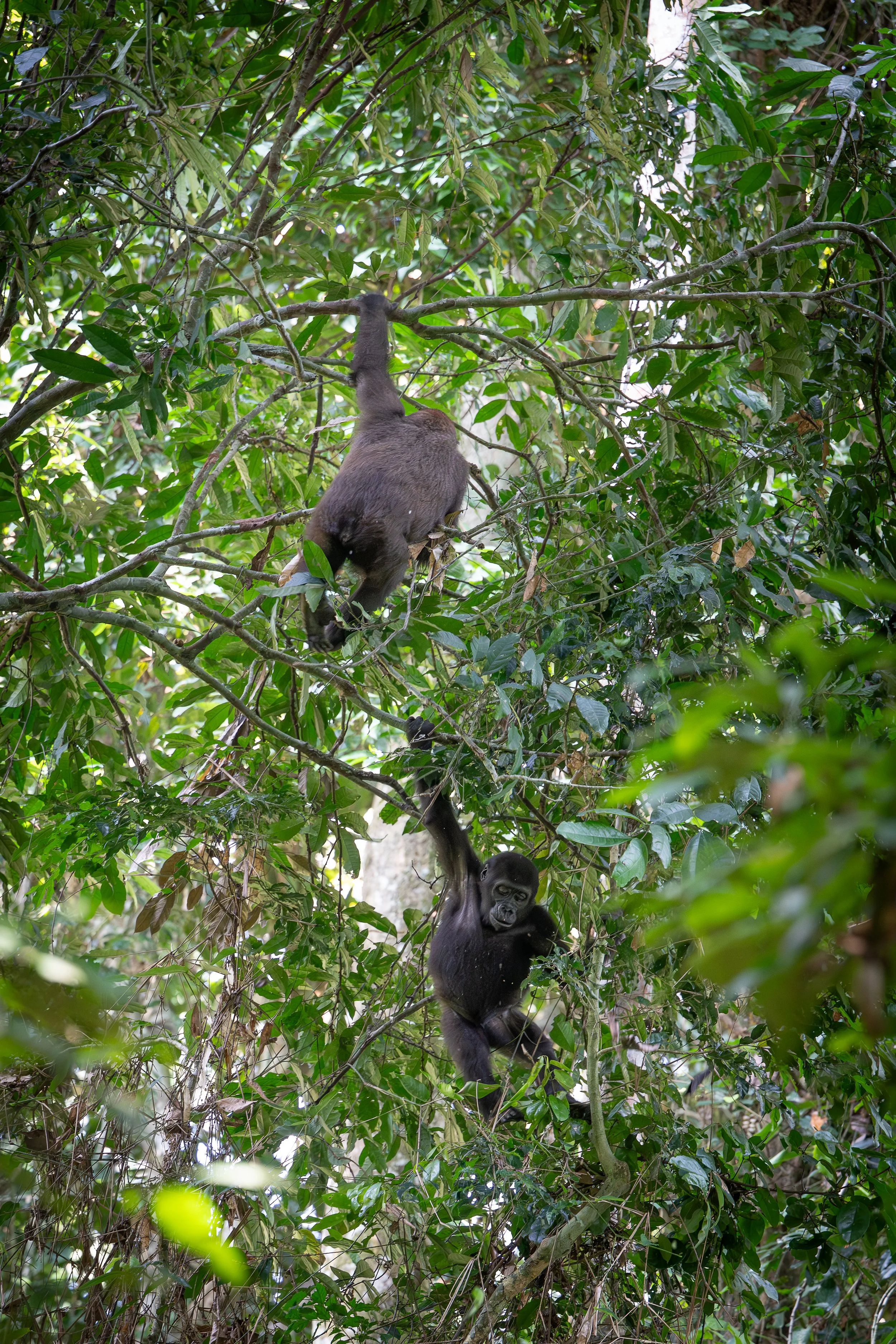 DSC_1393.jpg