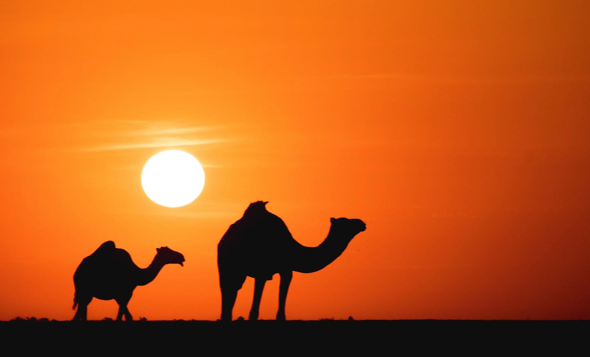 AnneKronschnabl_submission 3-2.jpg