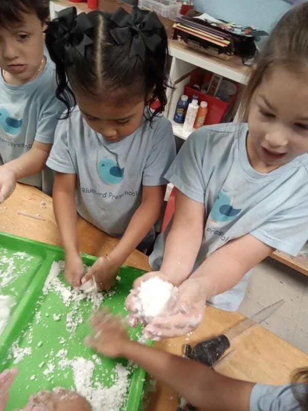 WhatsApp Image 2026-01-09 at 6.46.31 PM3.jpeg