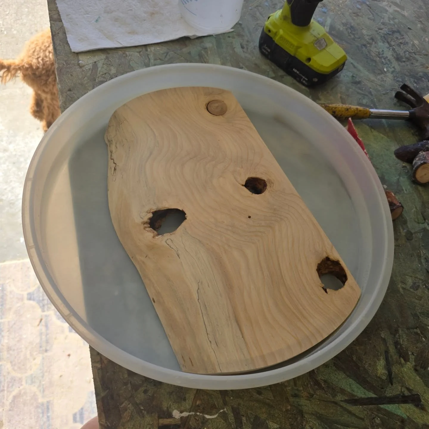 ✨ Two new projects in the works! Can&rsquo;t wait to show you how these slabs transform 🪵 Stay tuned!

#LiveEdge #Woodworking #Handcrafted #WorkInProgress #WoodArt