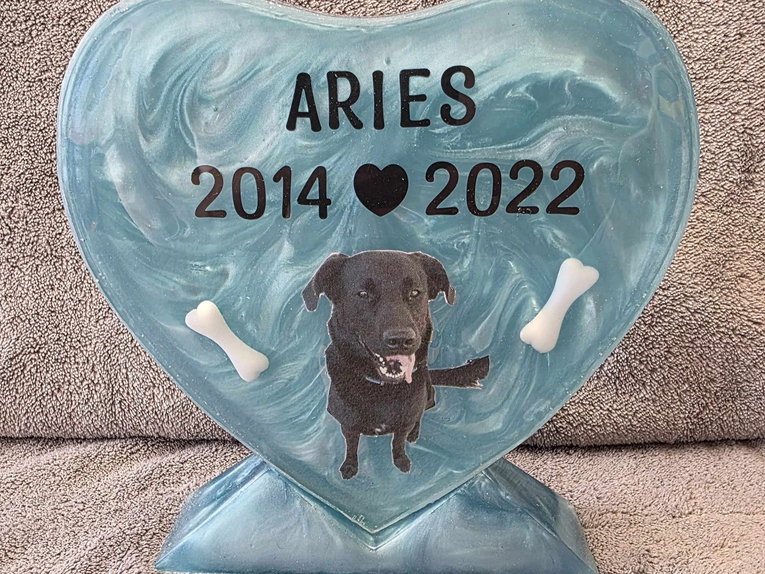 Aries.jpg