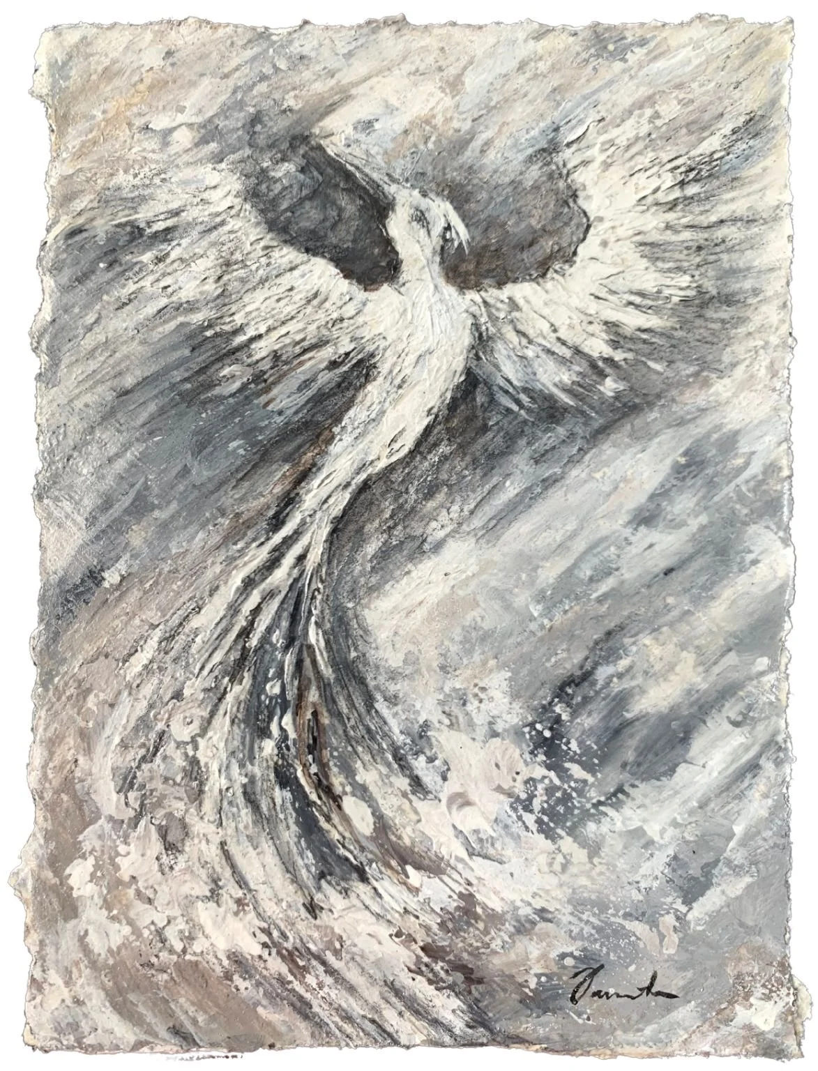 Little Phoenix