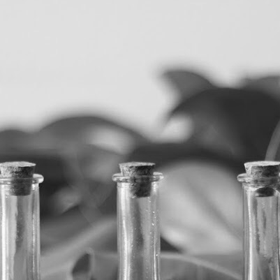 [antidote] Botanica & Community
