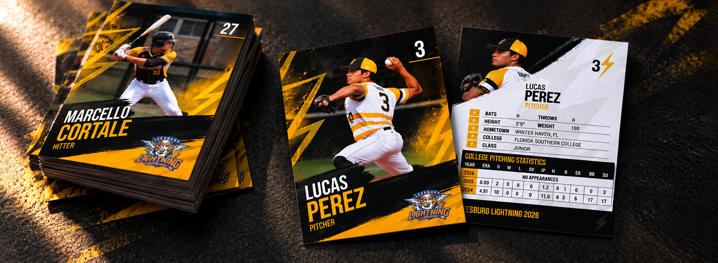 Custom-designed baseball trading card series featuring player photography, individual stats, and a cohesive team identity, professionally printed as a complete collectible set.