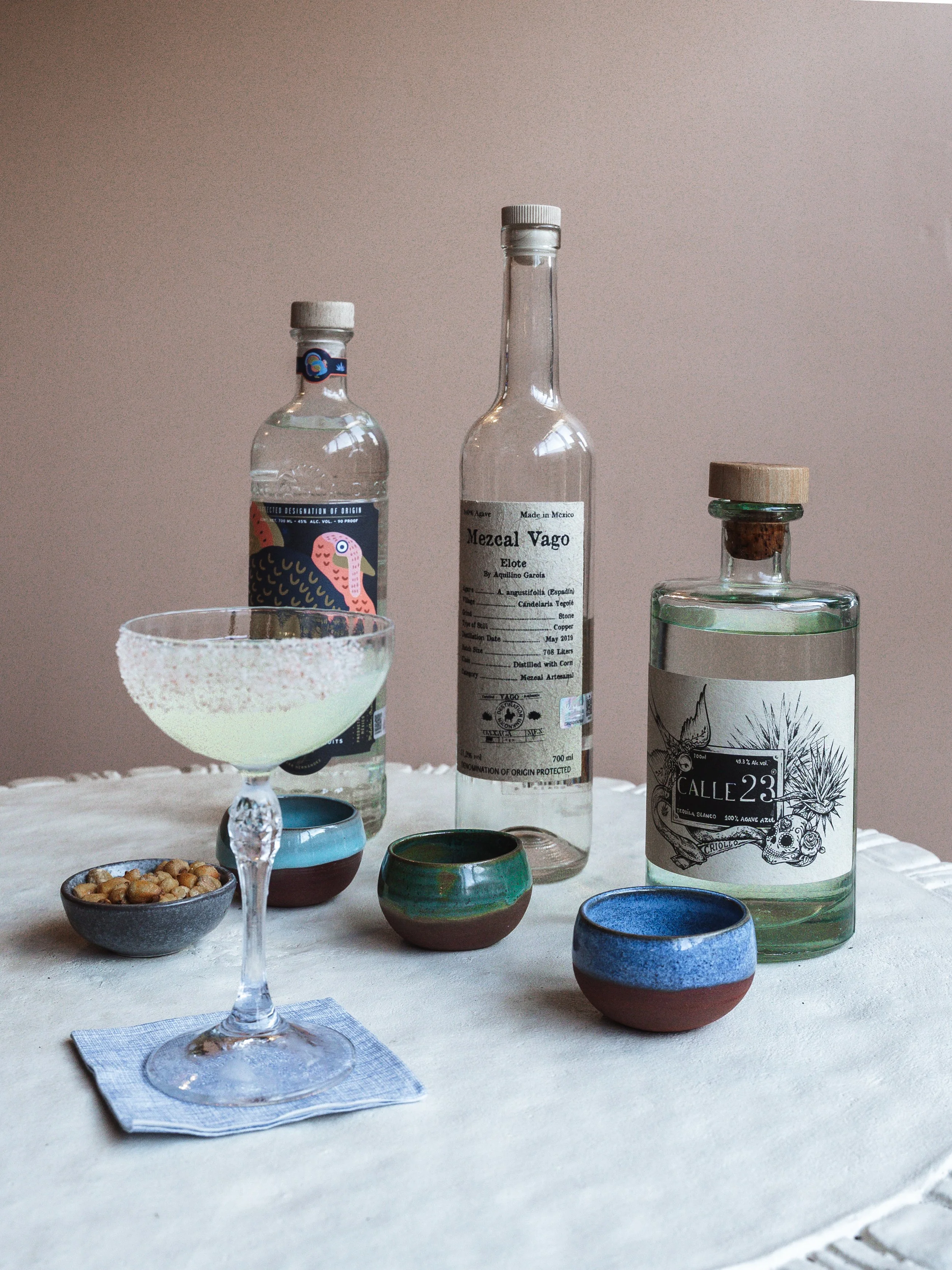 Agave Masterclass Terronia.jpg