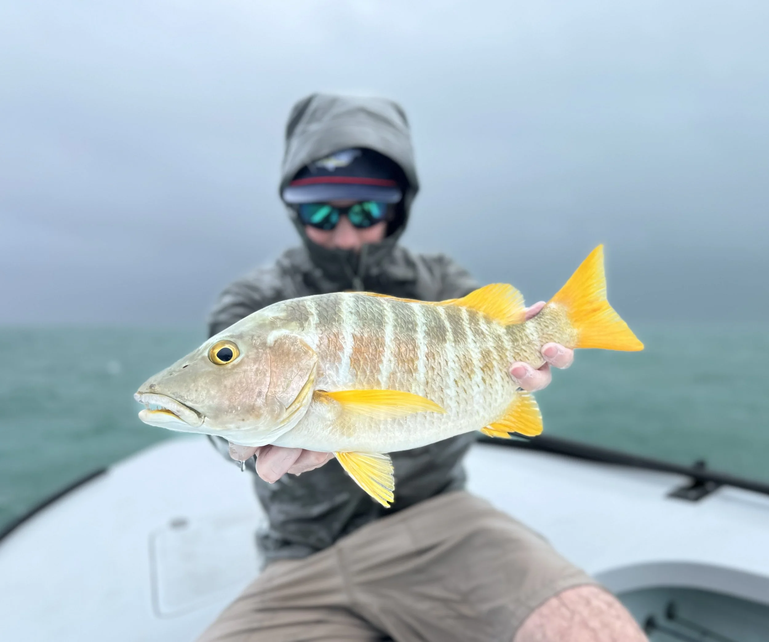 Angler holding a colorful schoolmaster snapper caught while fishing the flats of Grand Bahama, Bahamas.