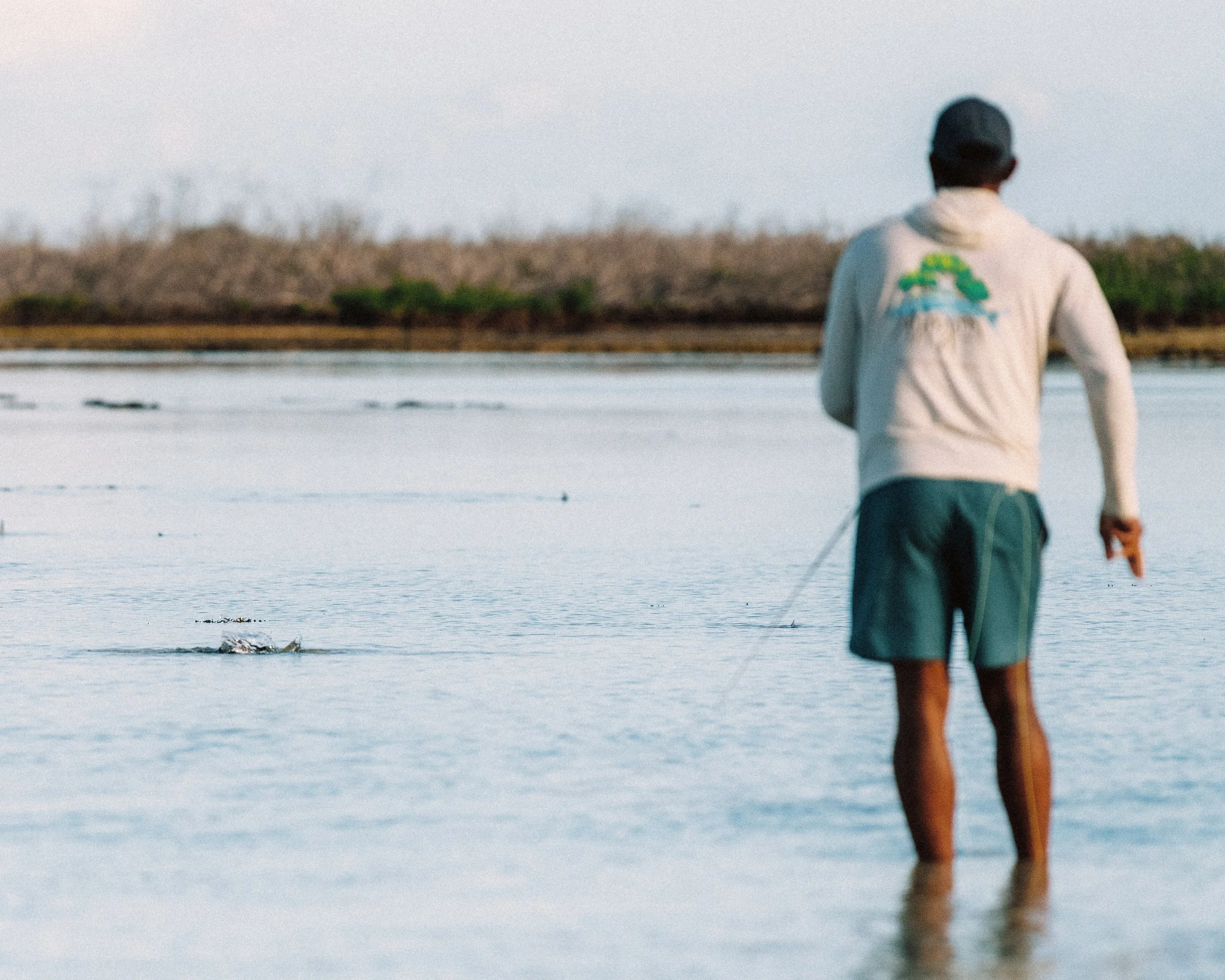 Angler wading and sight fishing tailing bonefish on a shallow flat in Grand Bahama, Bahamas.