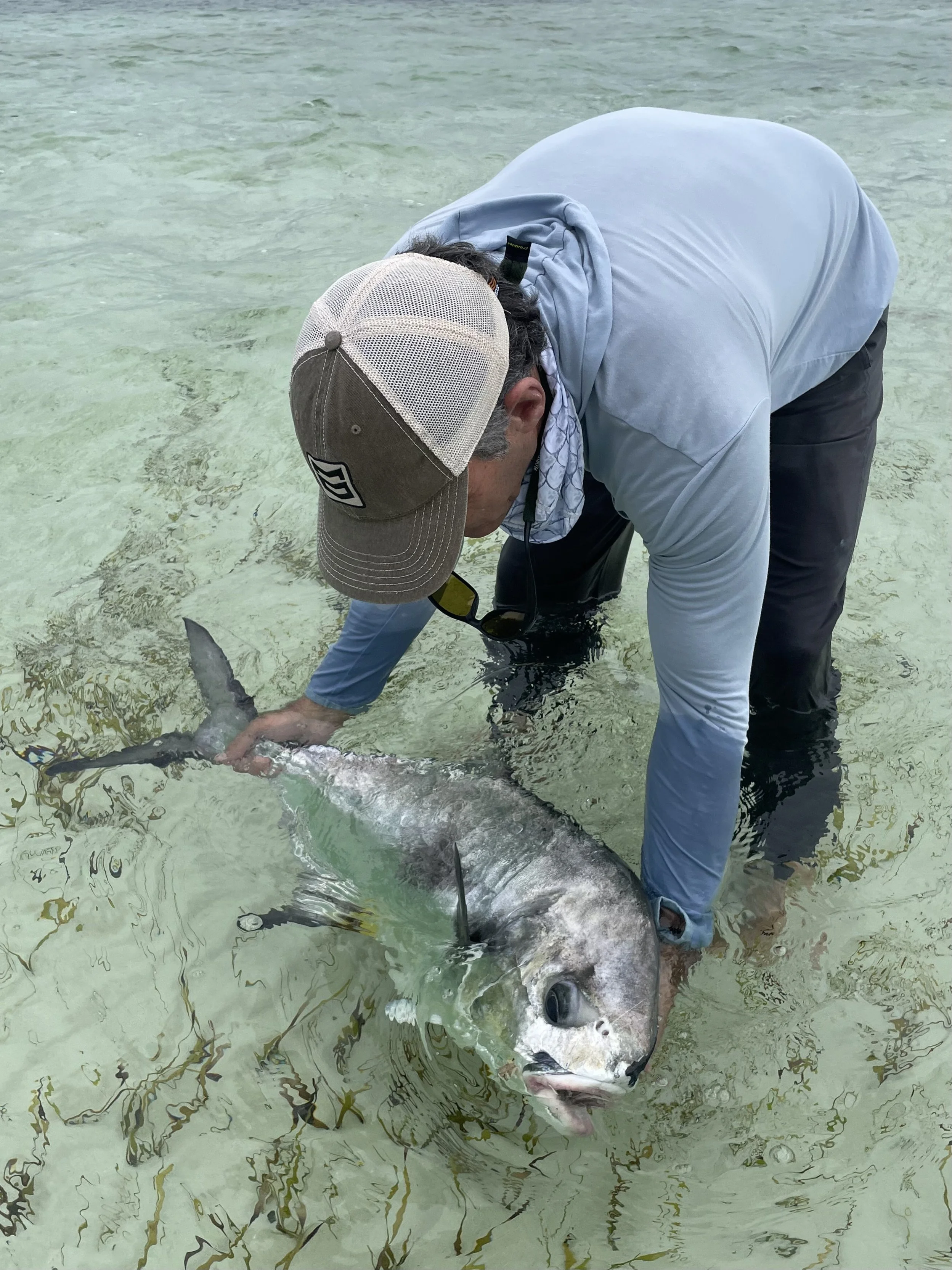 Angler releasing a permit in clear shallow water in Grand Bahama.
