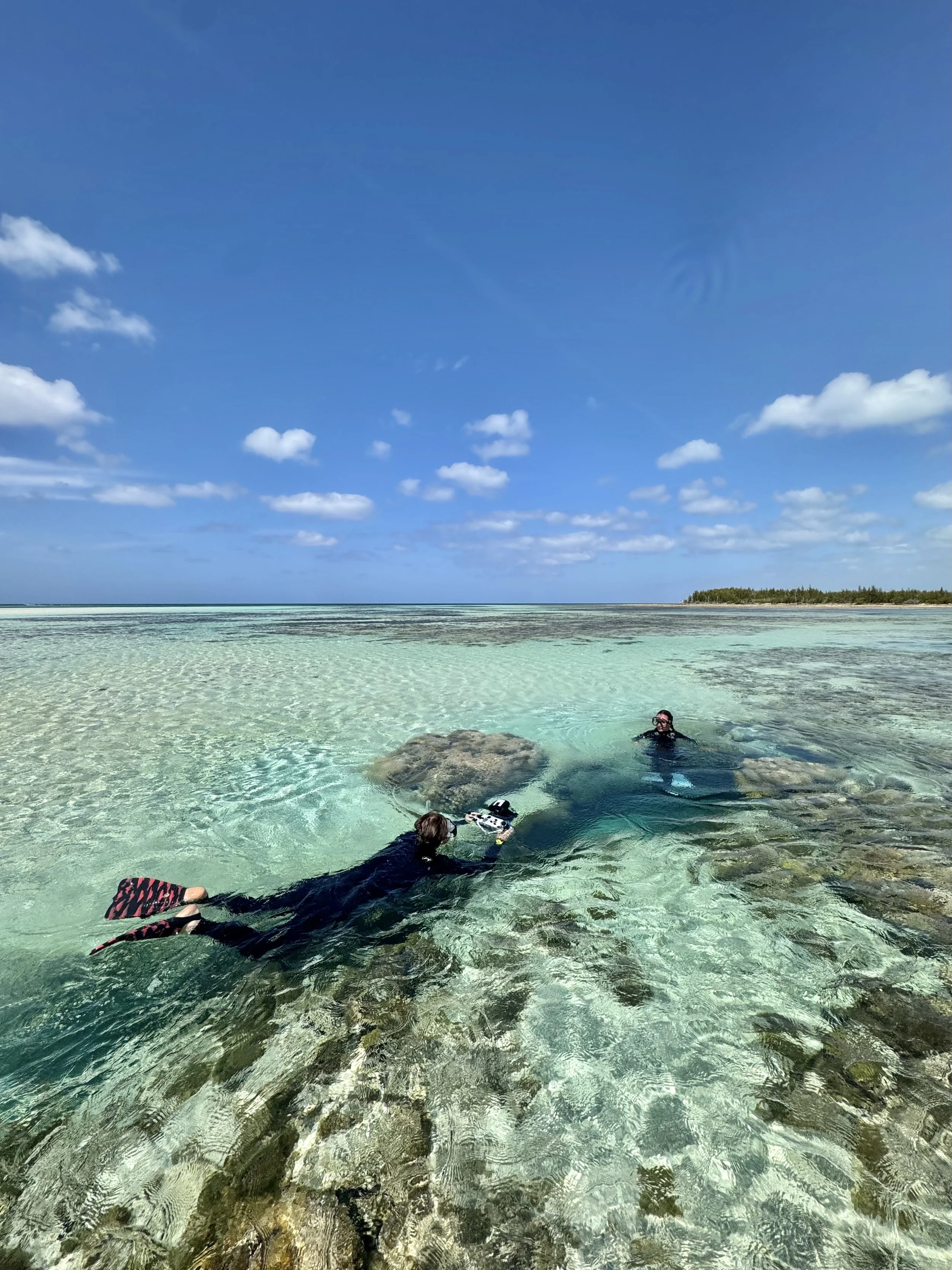 Two people in wetsuits scuba diving in clear shallow water near rocks, with distant shoreline and partly cloudy sky.
