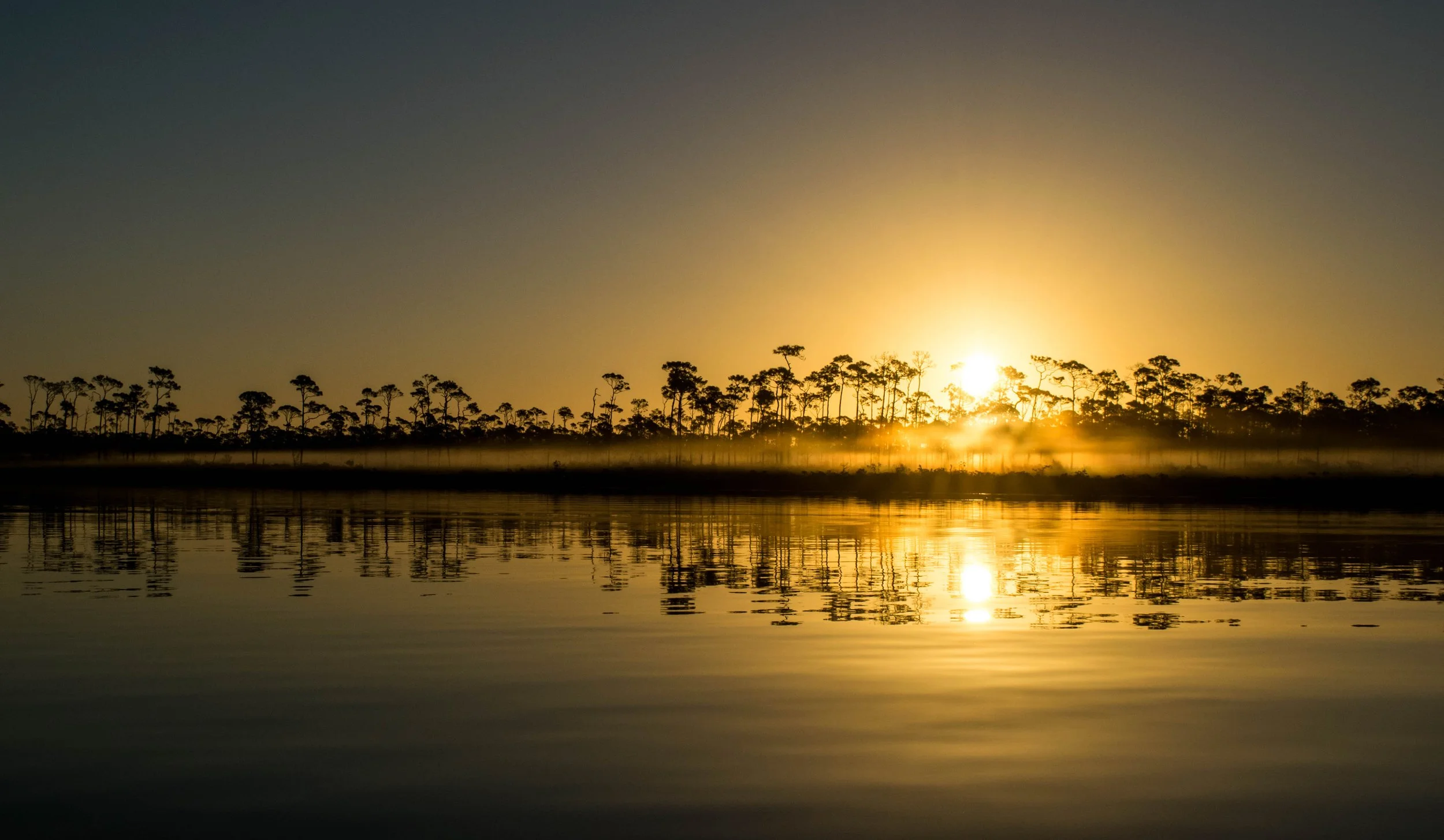 Sunrise reflecting across pine forest and calm backcountry waters in Grand Bahama, Bahamas.