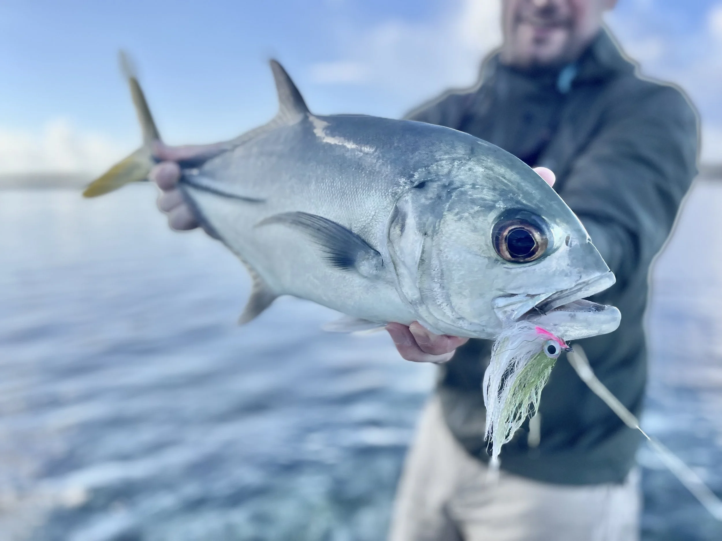 Close-up of a horse-eye jack caught on a fly during a guided fishing trip in Grand Bahama.