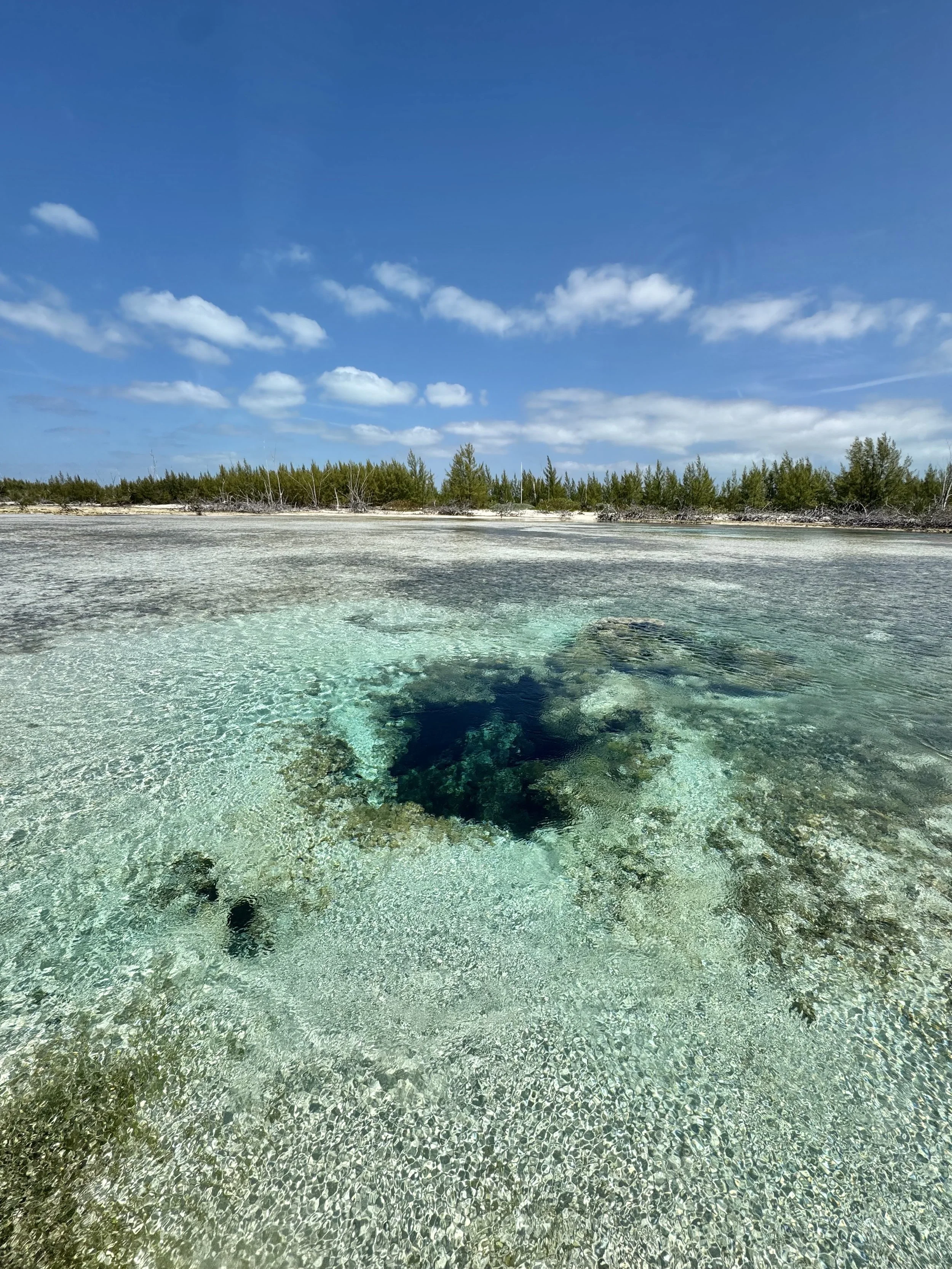 Blue hole nestled on shallow white-sand flat in East Grand Bahama, Bahamas.