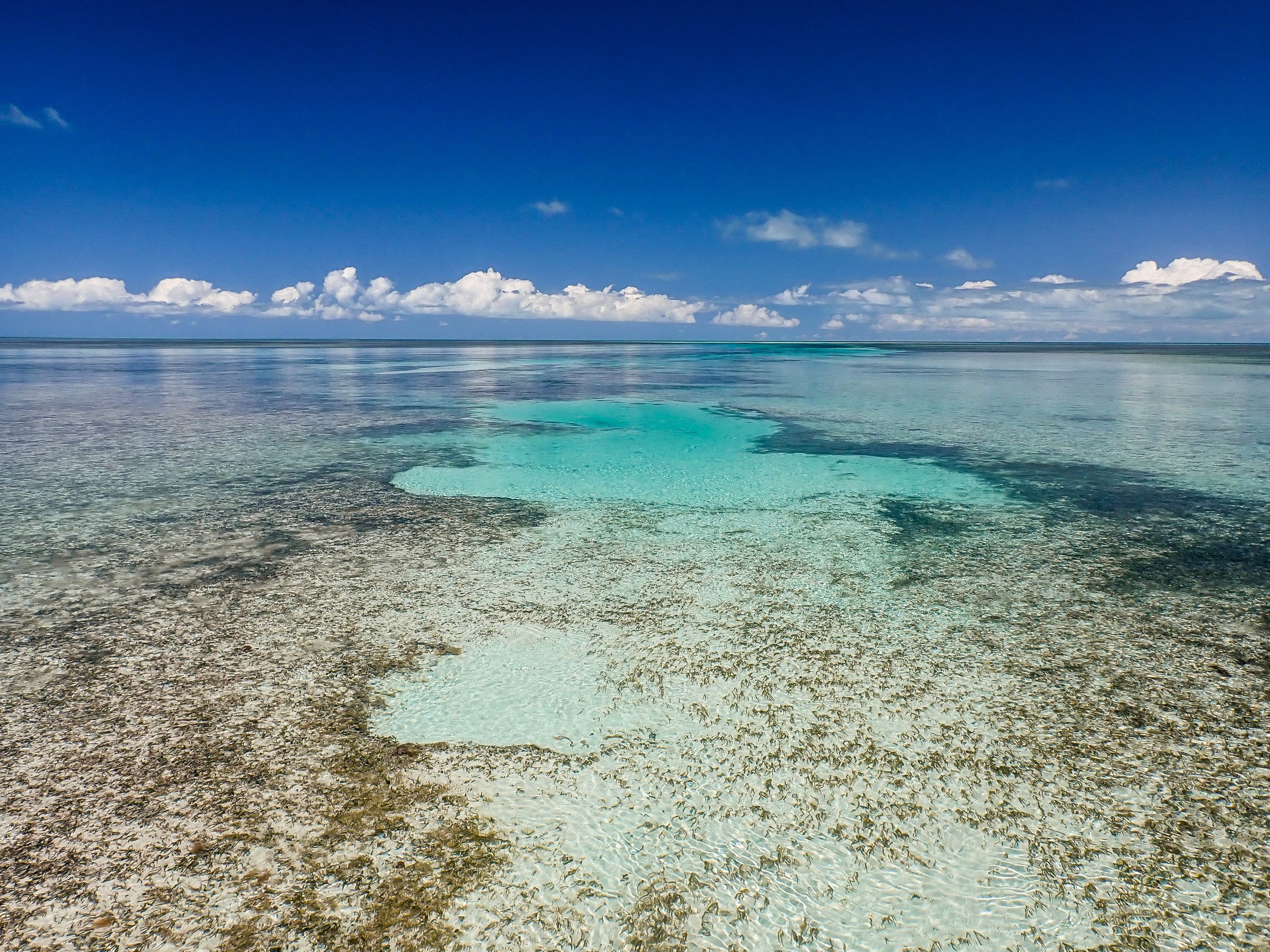 Aerial view of expansive turquoise flats and shallow-water habitat in Grand Bahama, Bahamas.