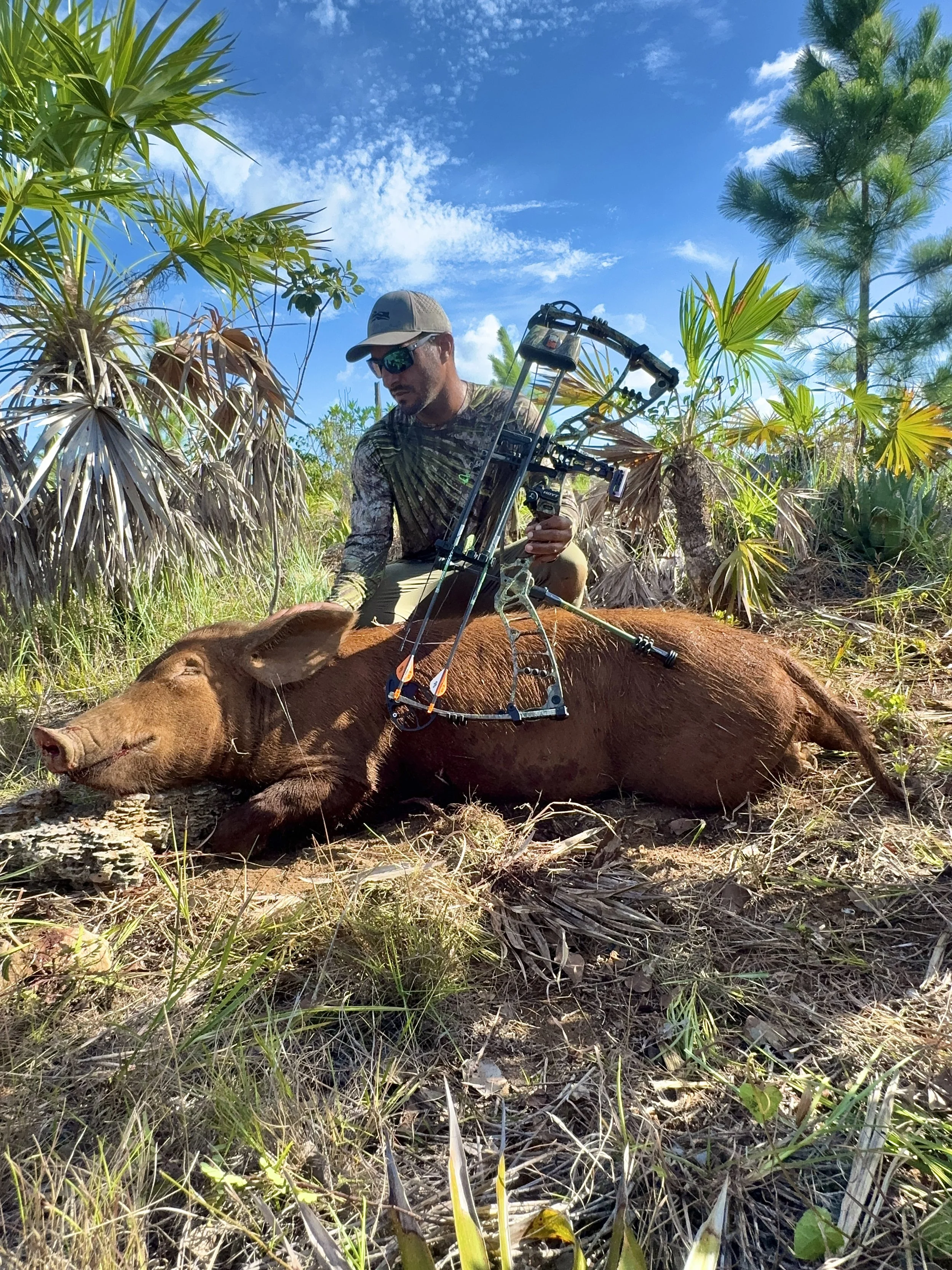 Hunter with a harvested wild hog during a guided bow hunt in Grand Bahama, Bahamas.