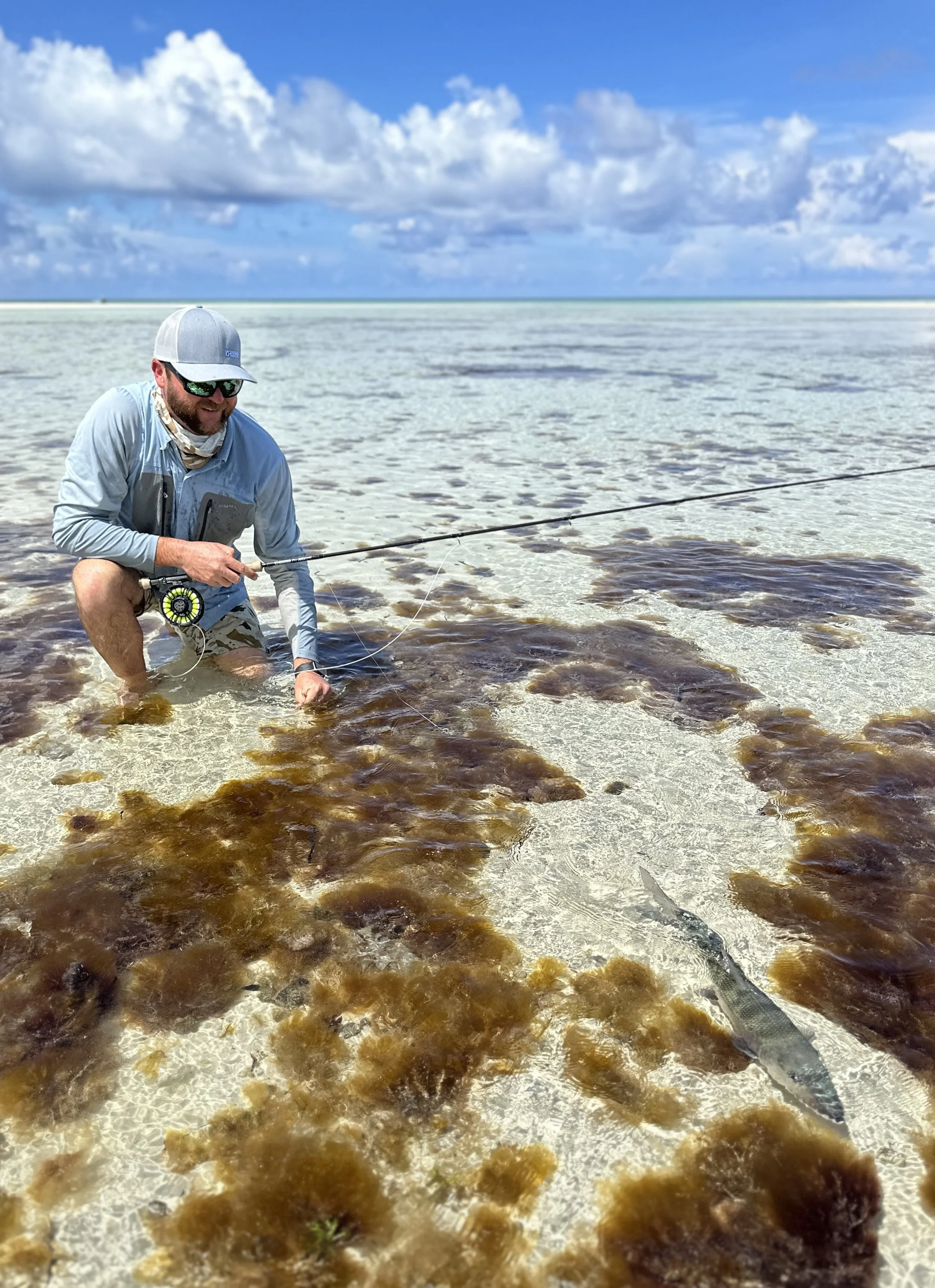 Angler releasing a bonefish while wading a shallow flat in Grand Bahama.