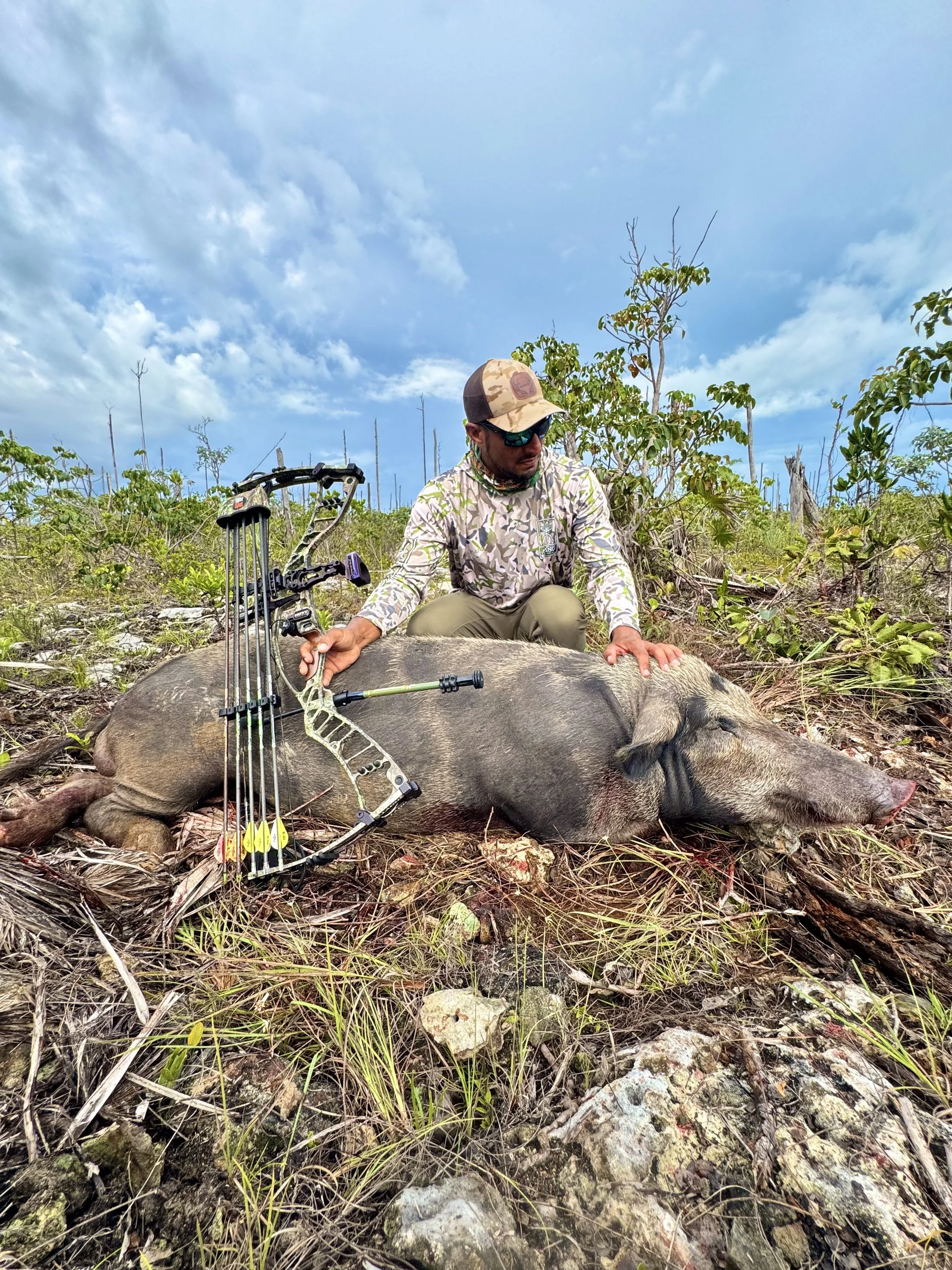 Wild hog harvested during a guided archery hunt in Grand Bahama, Bahamas.