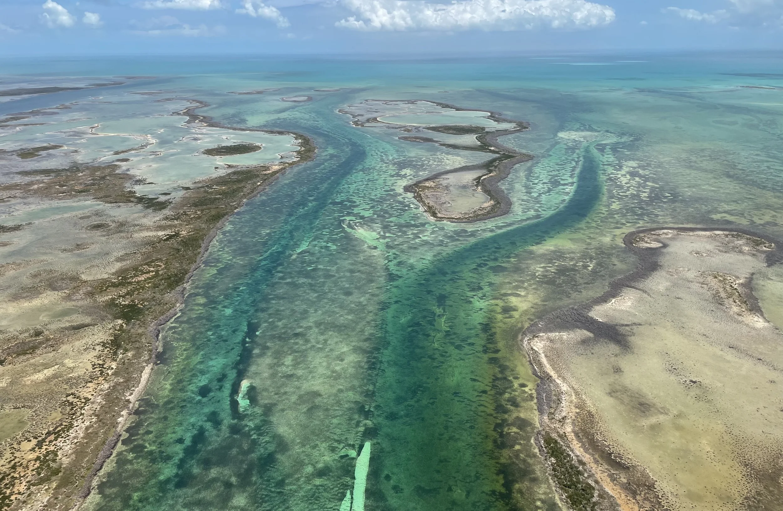Aerial view of remote mangrove creeks and shallow flats in Grand Bahama, Bahamas.