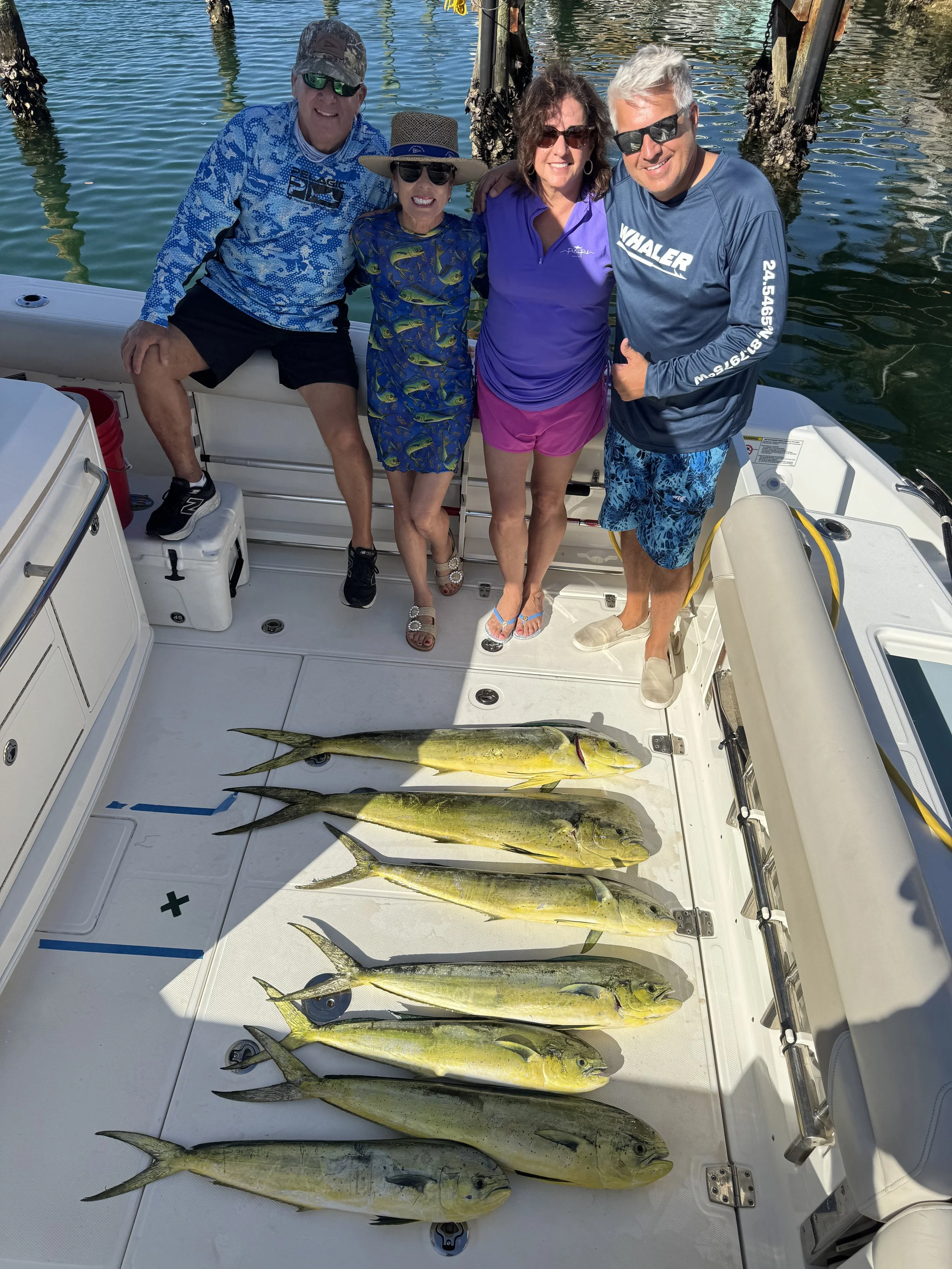 Freshly caught mahi-mahi laid out aboard a fishing boat in The Bahamas.