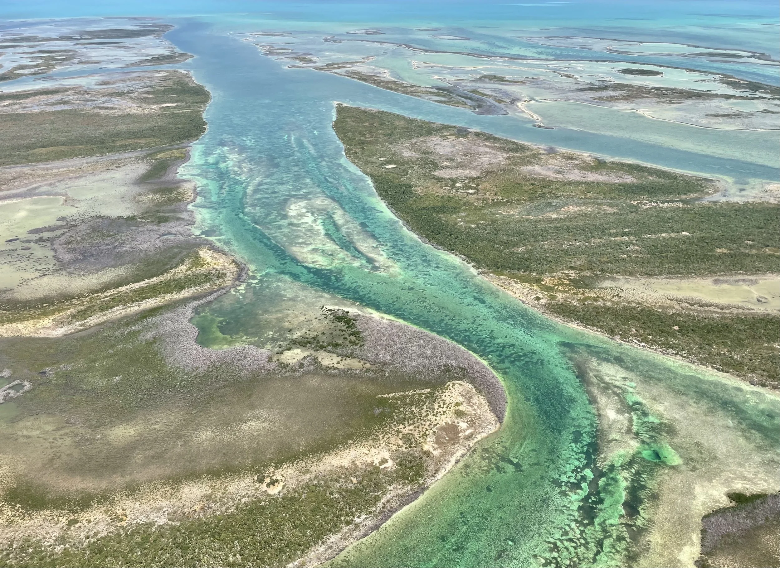 Aerial view of winding turquoise creeks, mangroves, and flats in Grand Bahama, Bahamas.