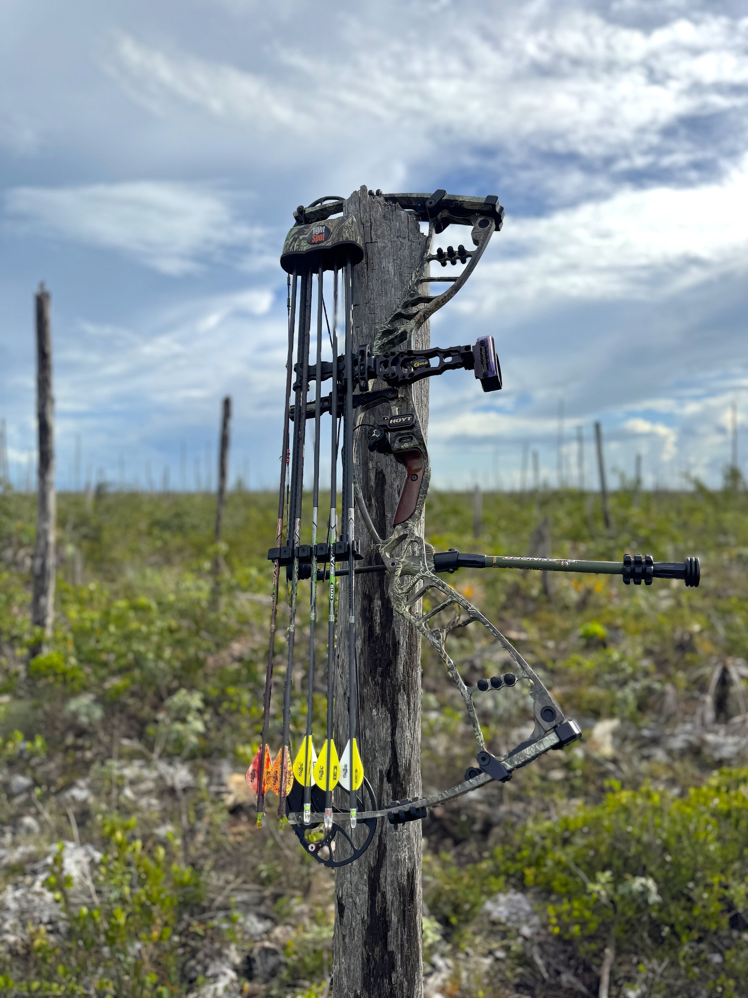 Compound bow and arrows set against the rugged bush landscape of Grand Bahama, representing guided wild hog hunting with Goombay Outfitters.
