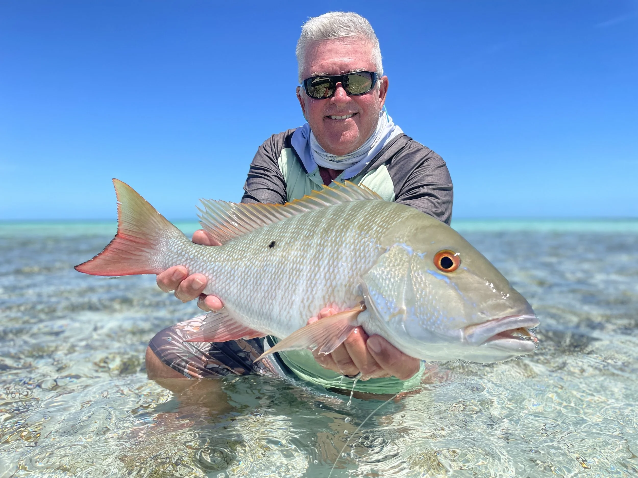 Angler holding a mutton snapper in clear shallow water in Grand Bahama.