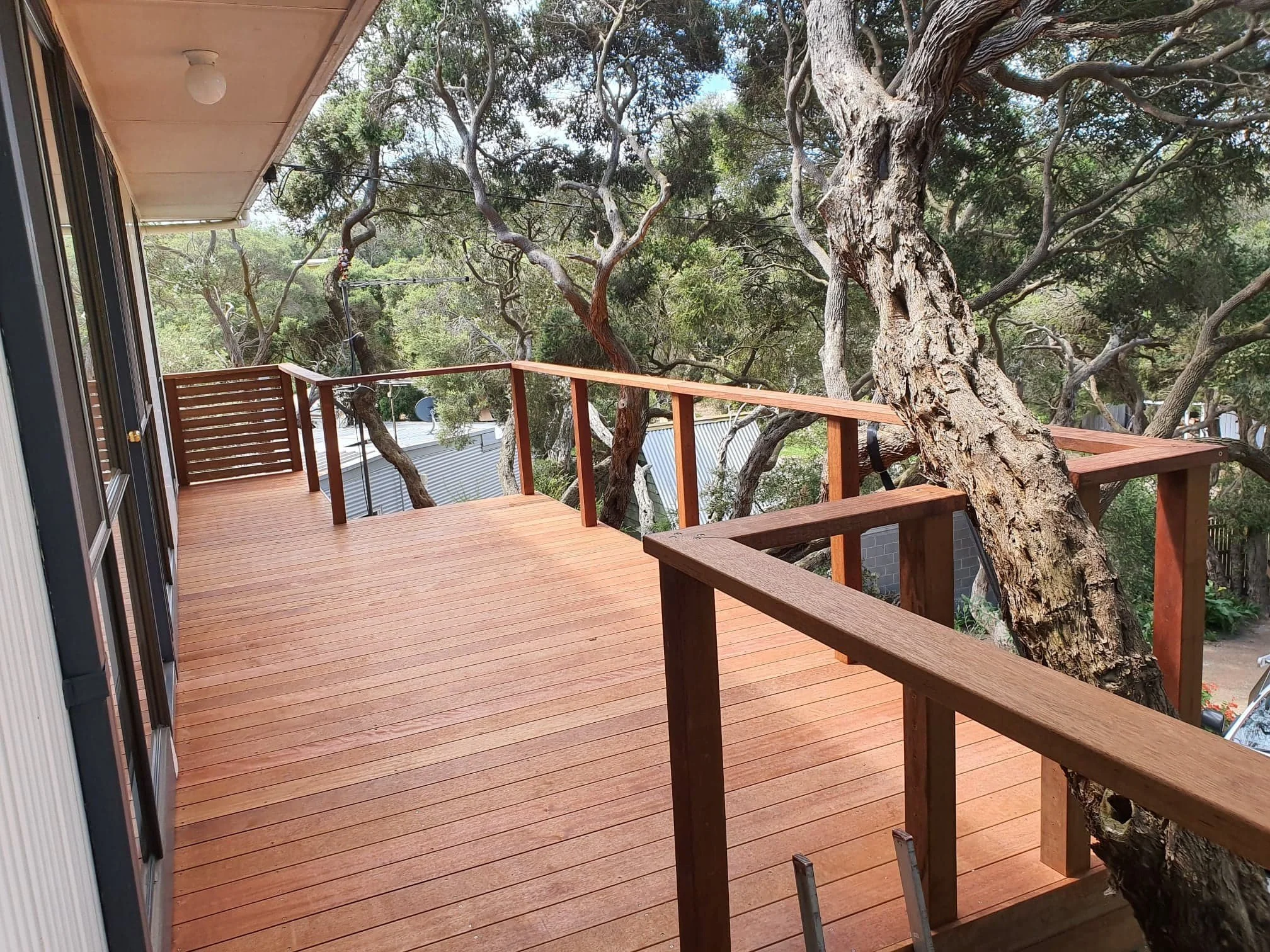 Photo of a wooden balcony or deck attached to a house, overlooking trees with thick, winding branches.
