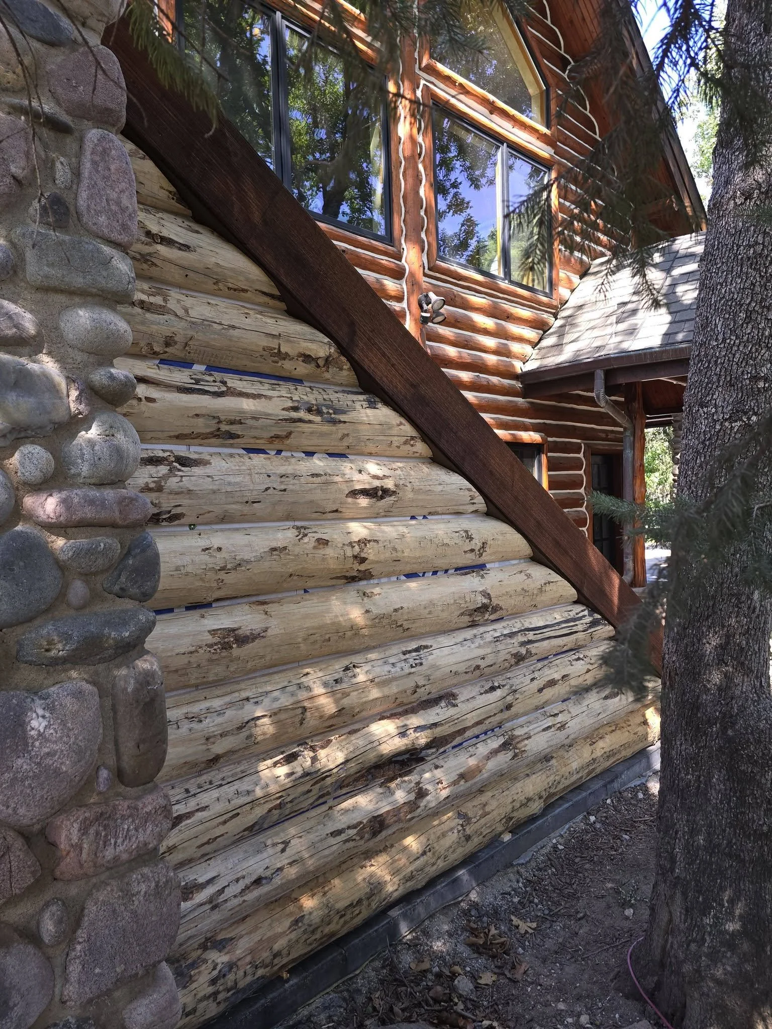 pea outside1.jpg