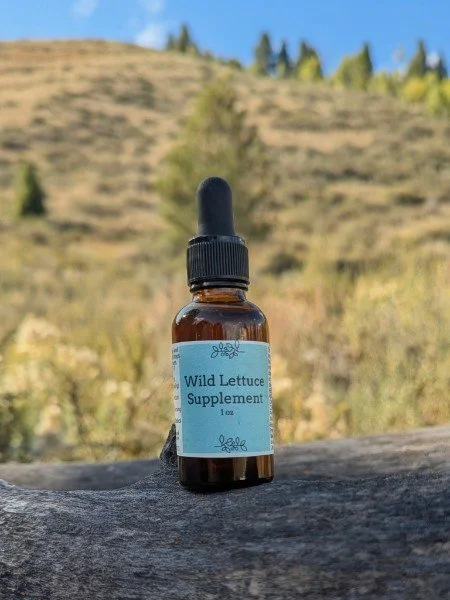 Wild Lettuce Tincture
