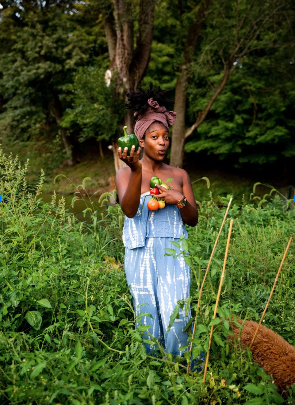 A woman standing in a green garden or farm holding a green bell pepper and wearing a blue and white tie-dye dress and head wrap, surrounded by plants and trees.