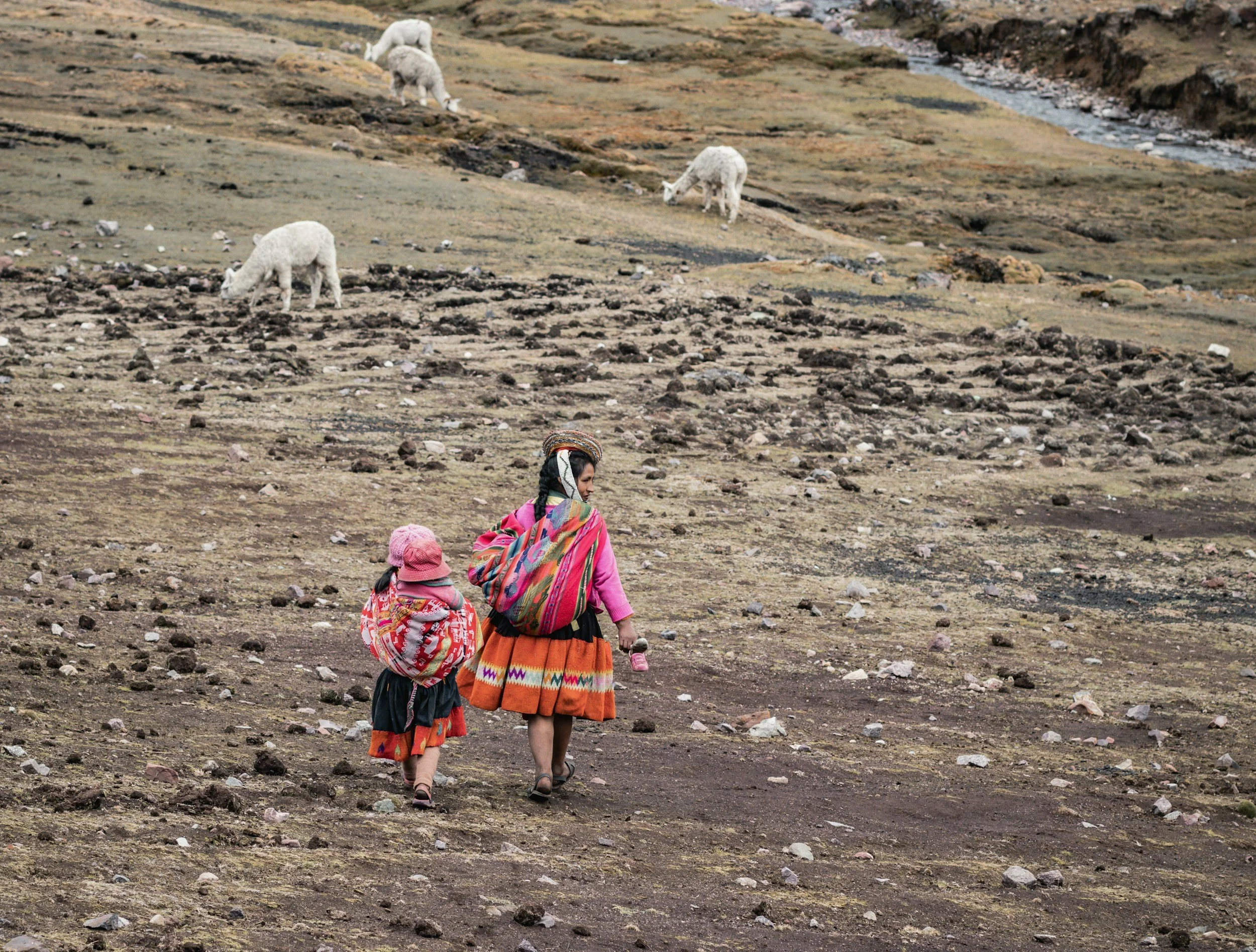 Indigenous women in colorful traditional clothing walking with children through a barren, rocky landscape with white llamas grazing in the background.