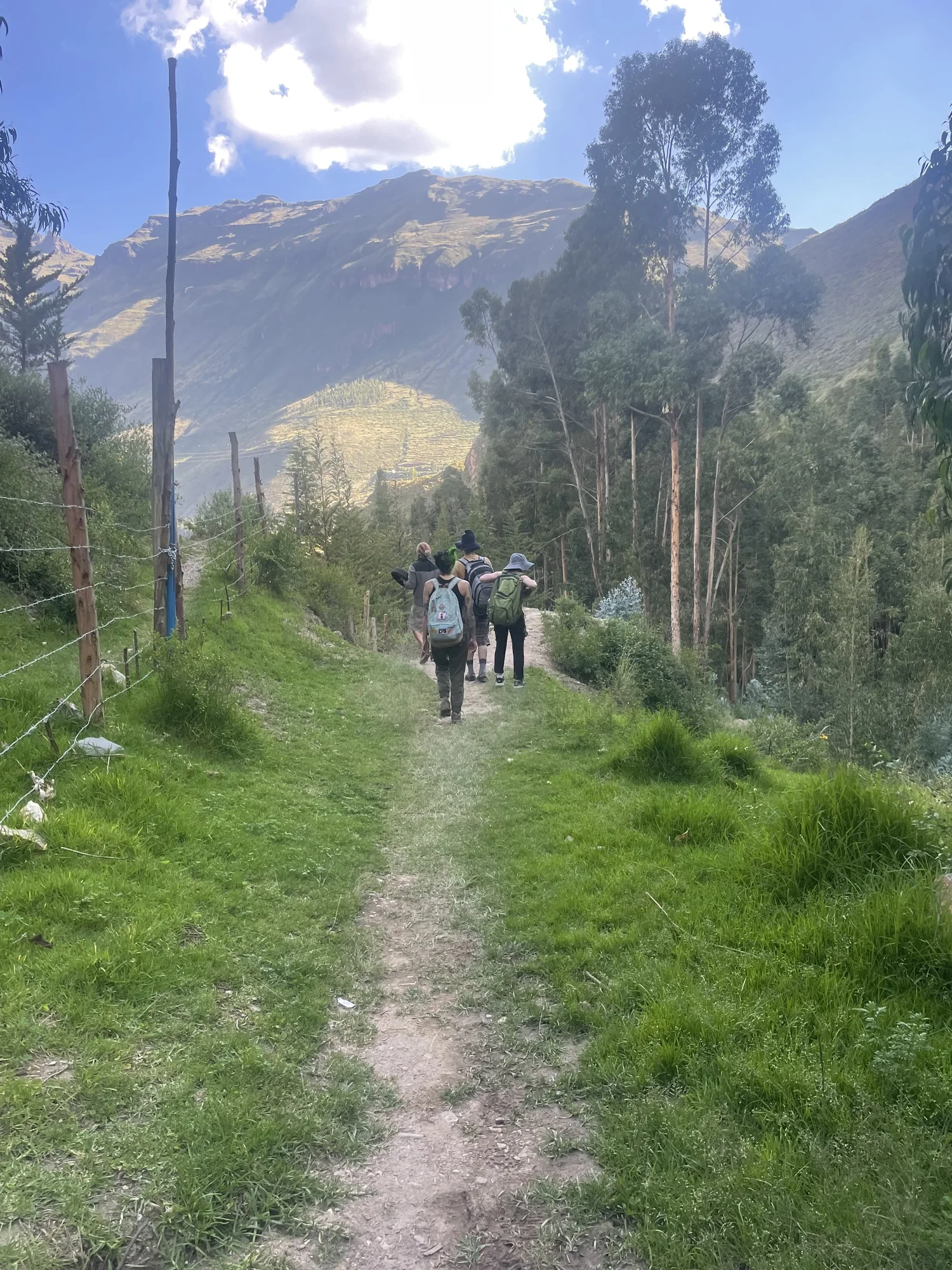 Group hiking a dirt trail through forest with mountains in the background
