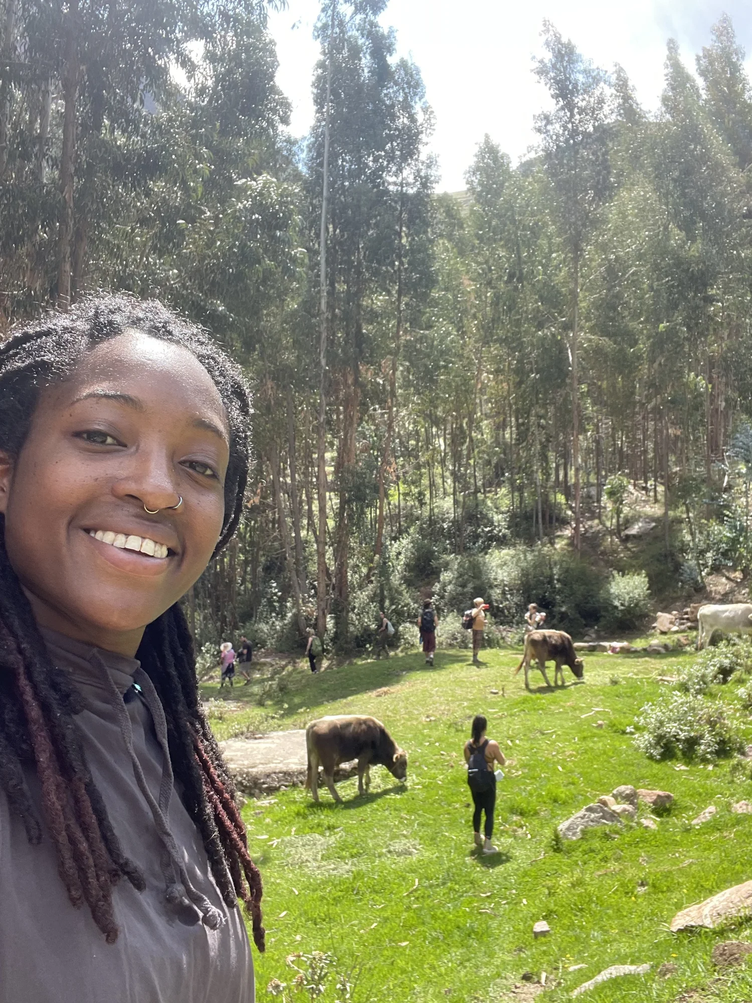 Traveler outdoors with grazing animals and people walking in a green Andean landscape