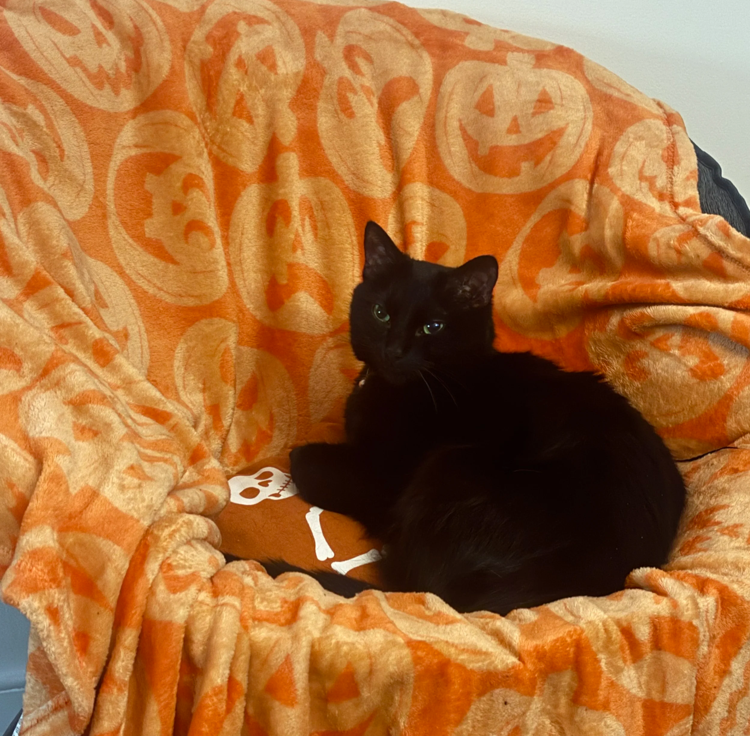 Lessons From Quiet Teachers