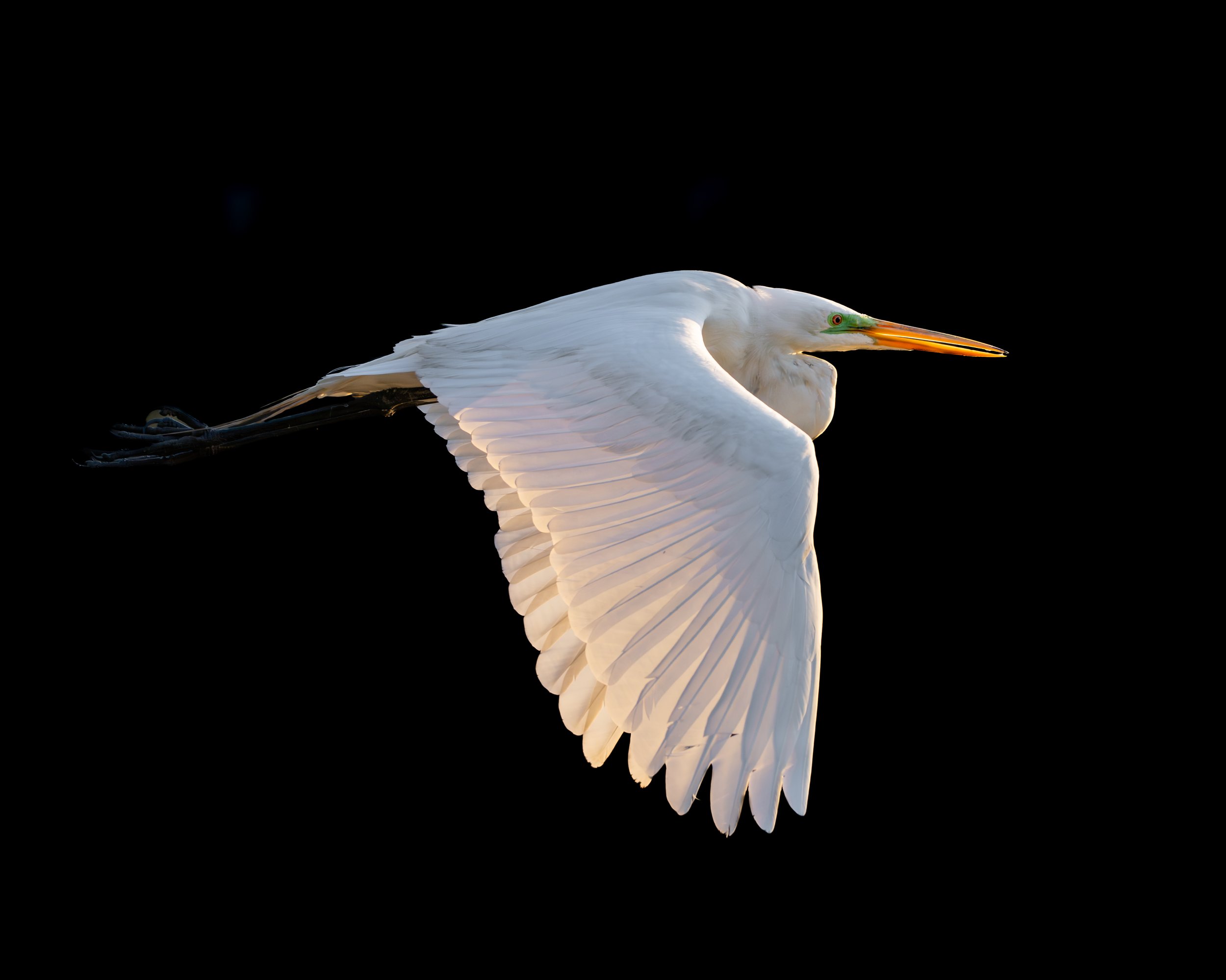 inflight.jpg