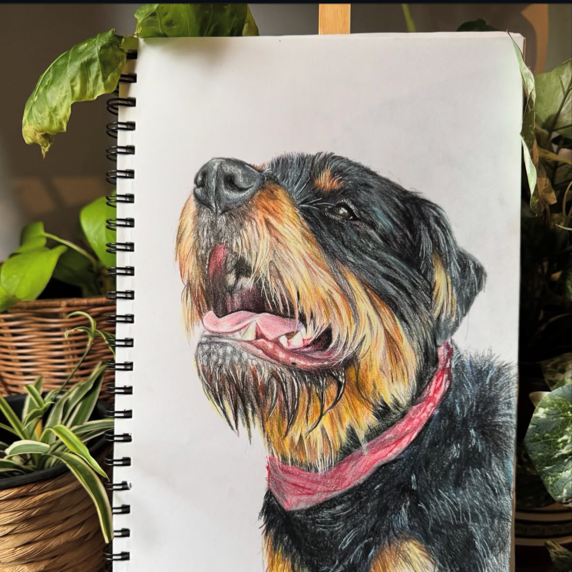 Pencil Drawing