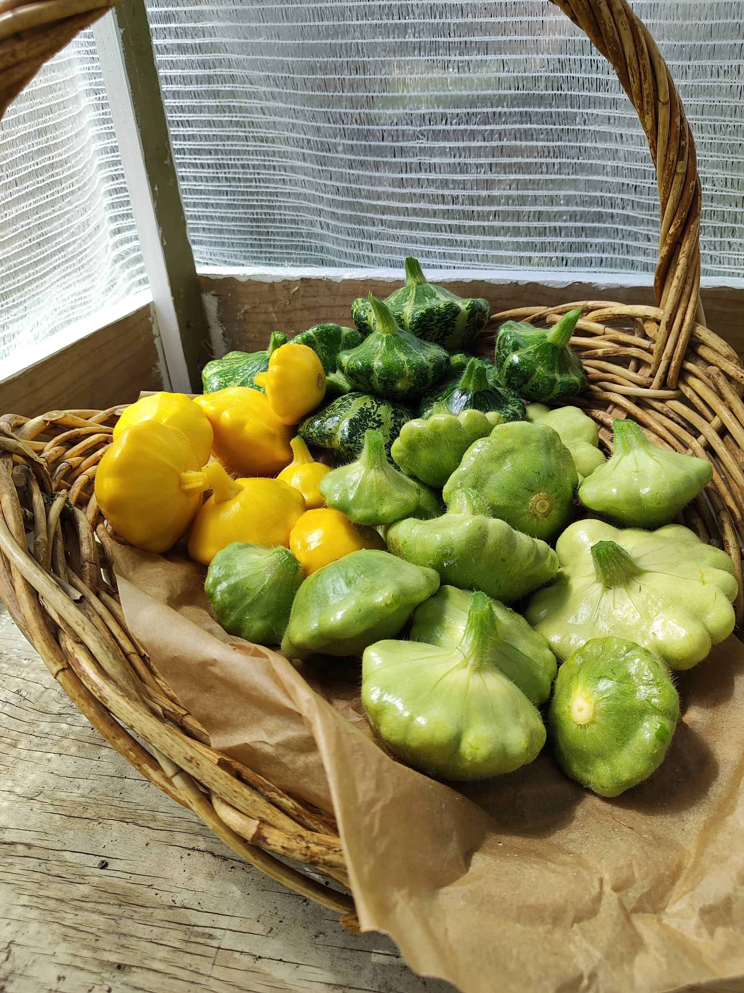 Scallopini (Pattypan Squash)