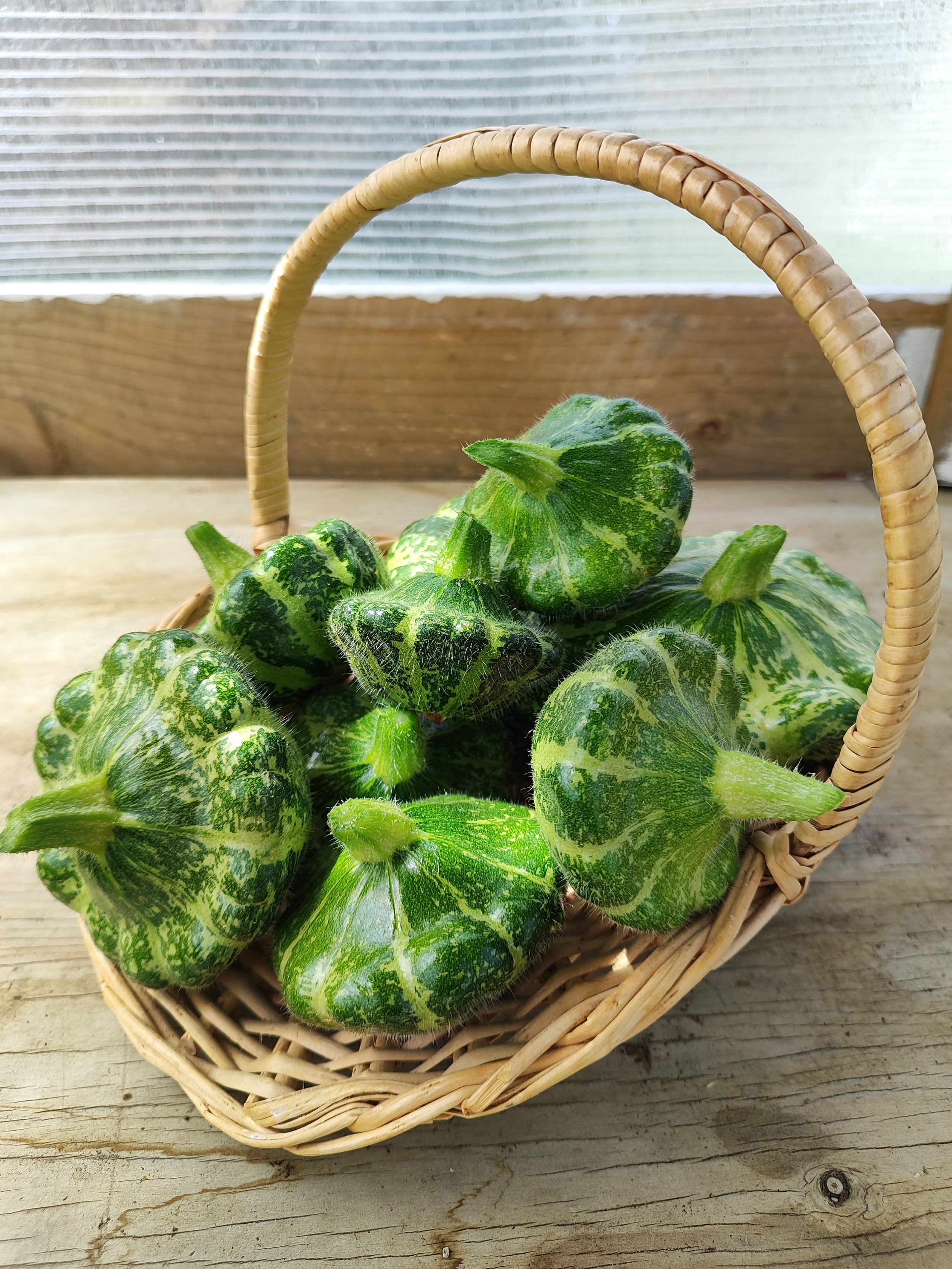 Scallopini (Pattypan Squash)