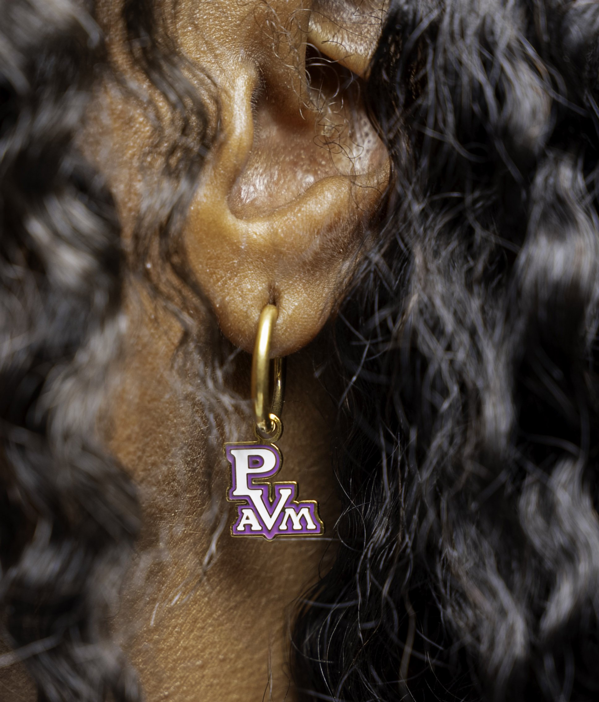 PVAMU Logo Earrings