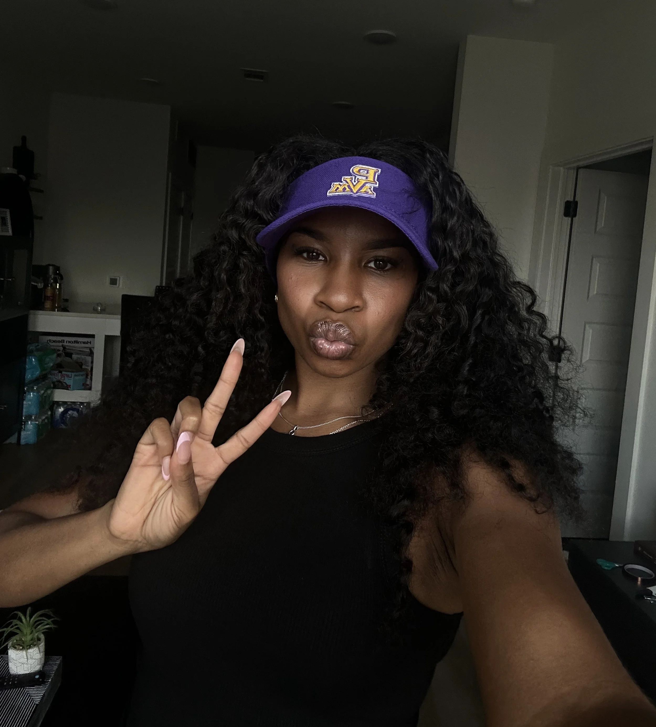 Prairie View Visor
