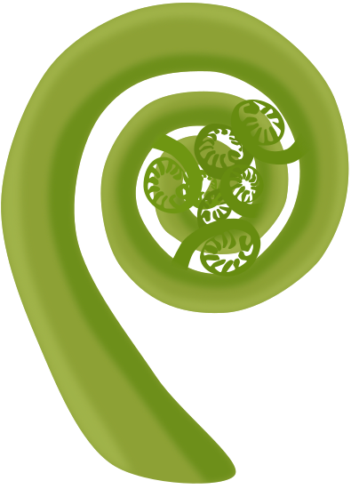 Close-up of a green spiral-shaped plant or vegetable with small decorative elements in the center.
